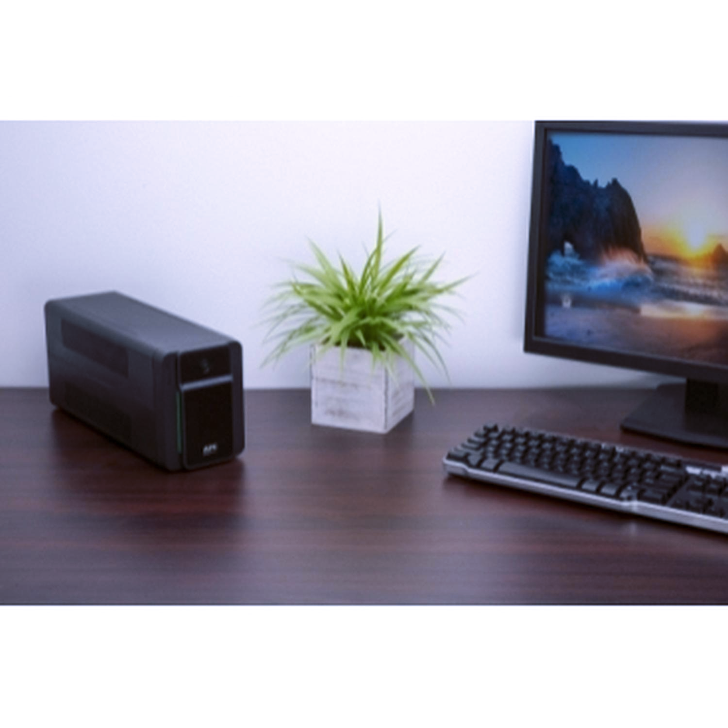 UPS APC 900 VA BVX900LI-MS Interactiva 3 salidas-3