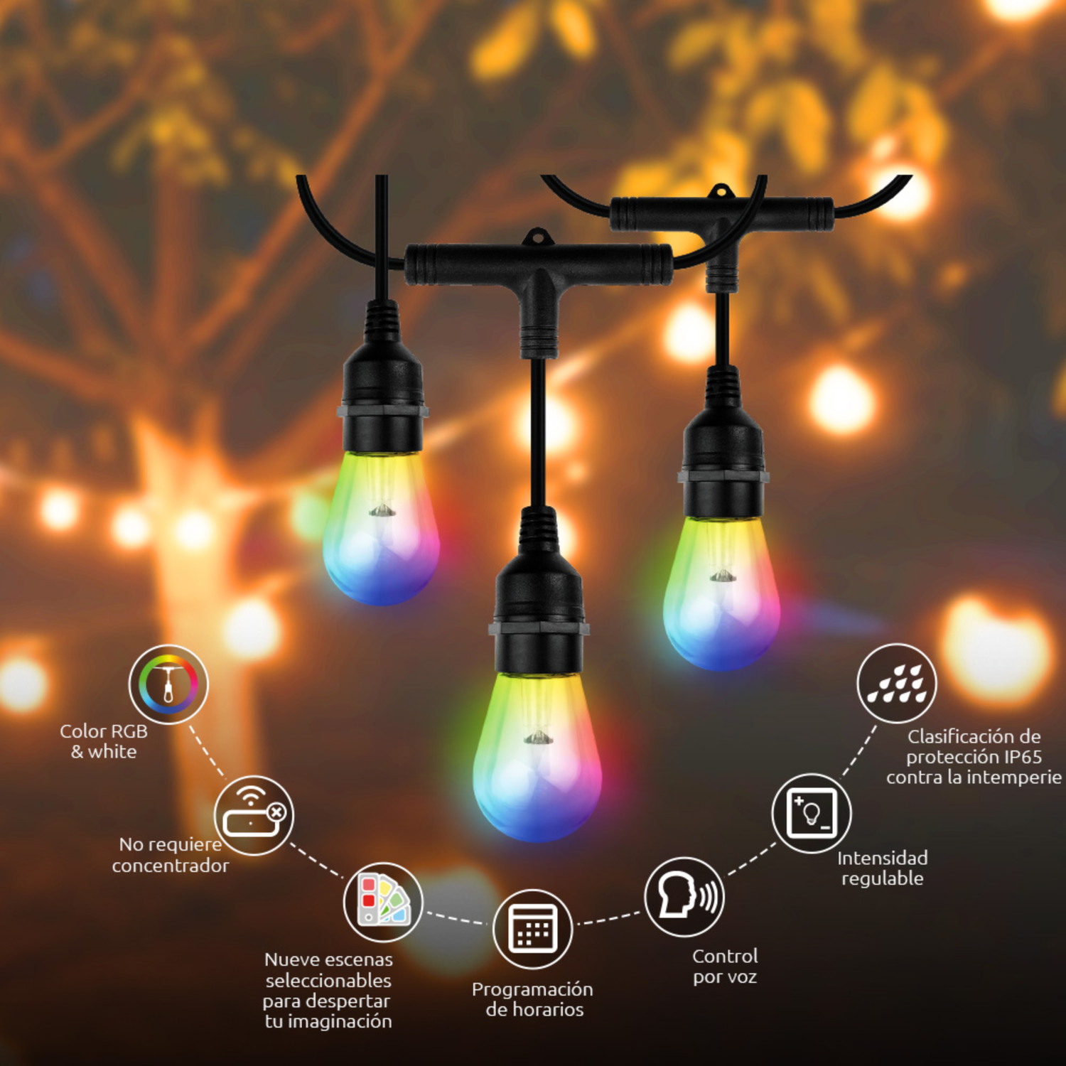 Guirnalda de Luces Inteligentes Wi-Fi Multicolor-2