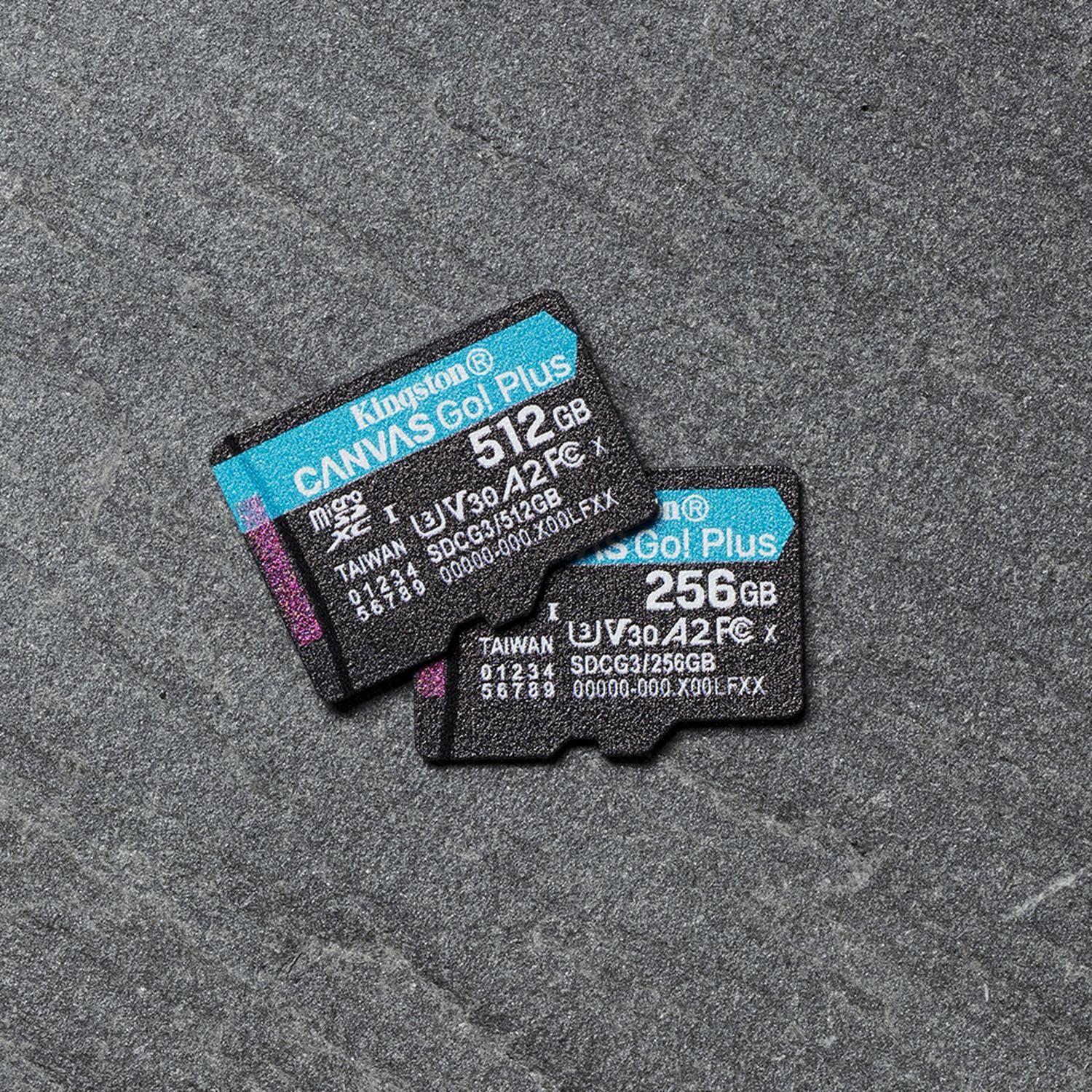 Memoria Flash Canvas Go! Plus 512 GB MicroSD UHS-I Clase 10-6