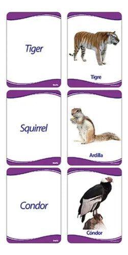 Lámina Animal 17x12cm-4