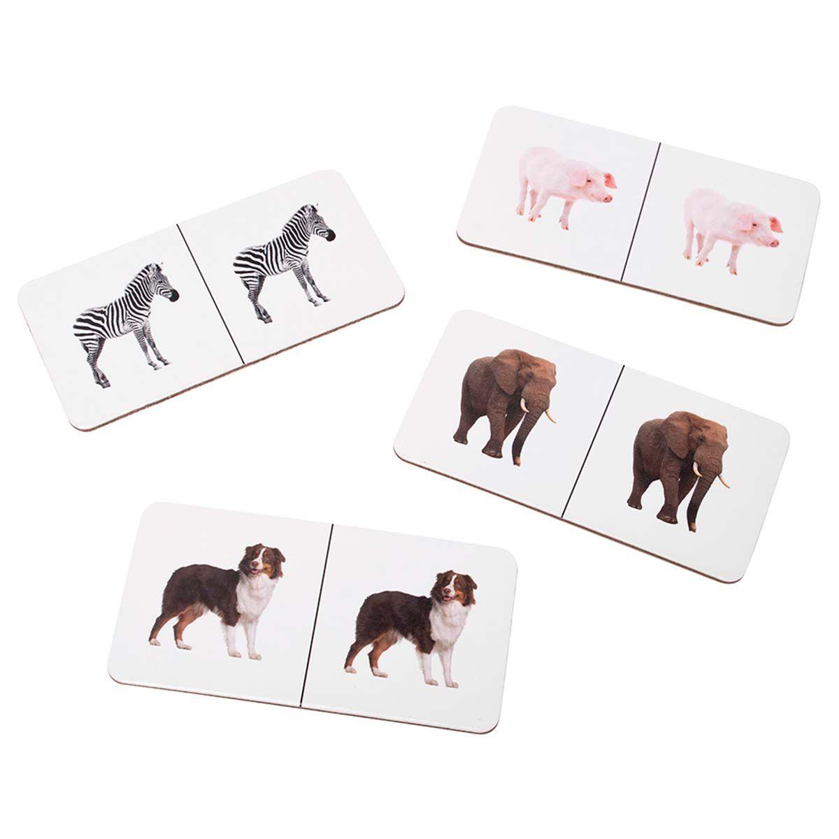 Domino Animal Carton Dactic-2