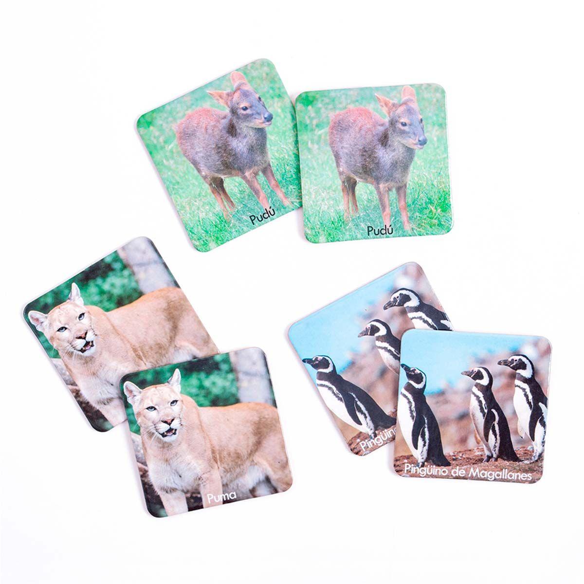 Memorice Plus Fauna Chilena 32 Piezas Dactic-4