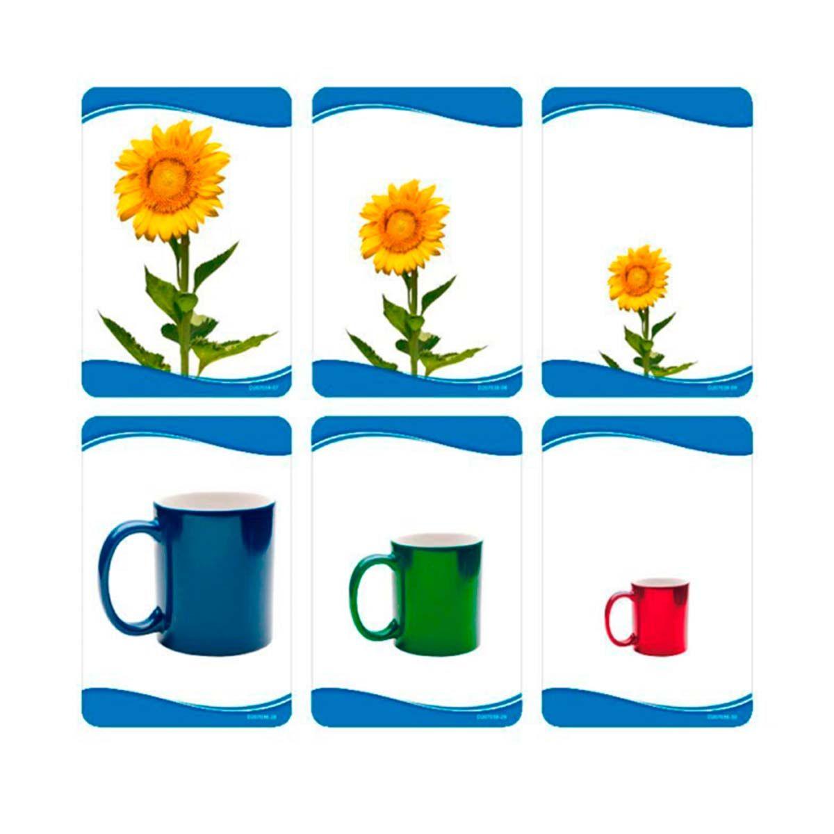 Láminas Didácticas, Flash Card Secuencia De Tamaños. Dactic-1