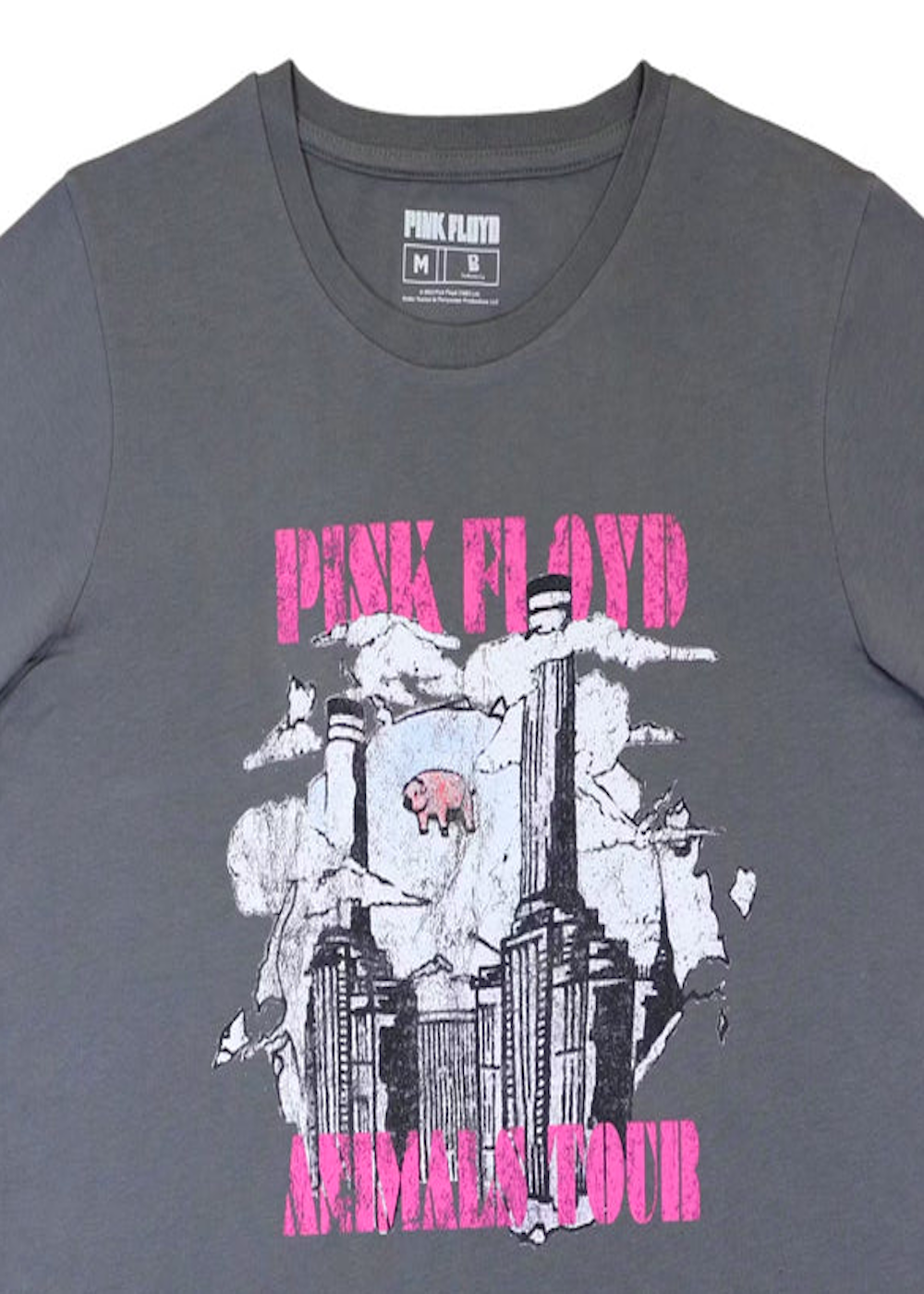 Polera Pink Floyd oversize crop top Tallas S y L-3