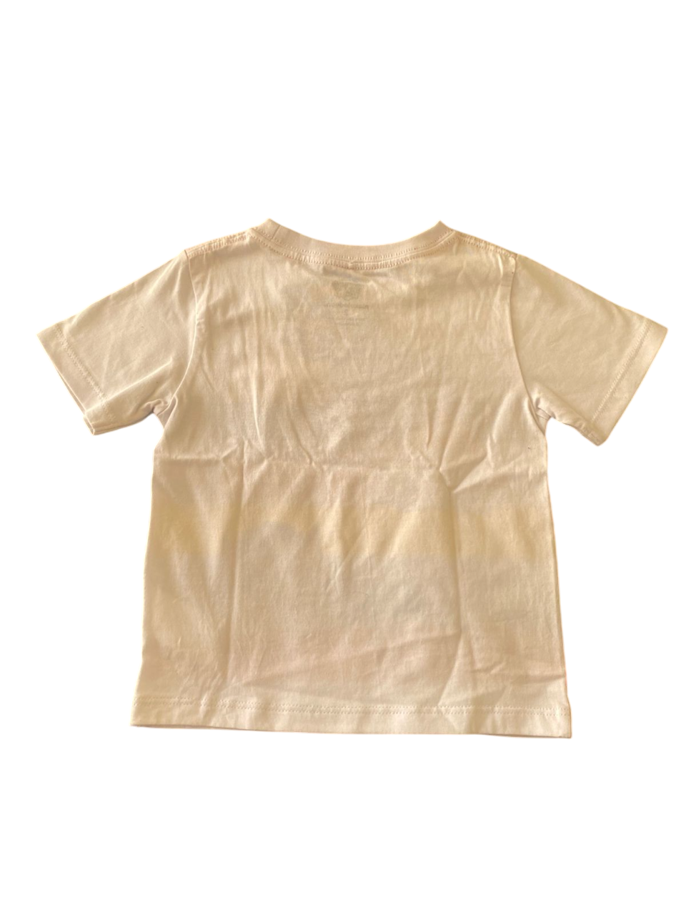 Polera Paw Patrol Talla 2-3