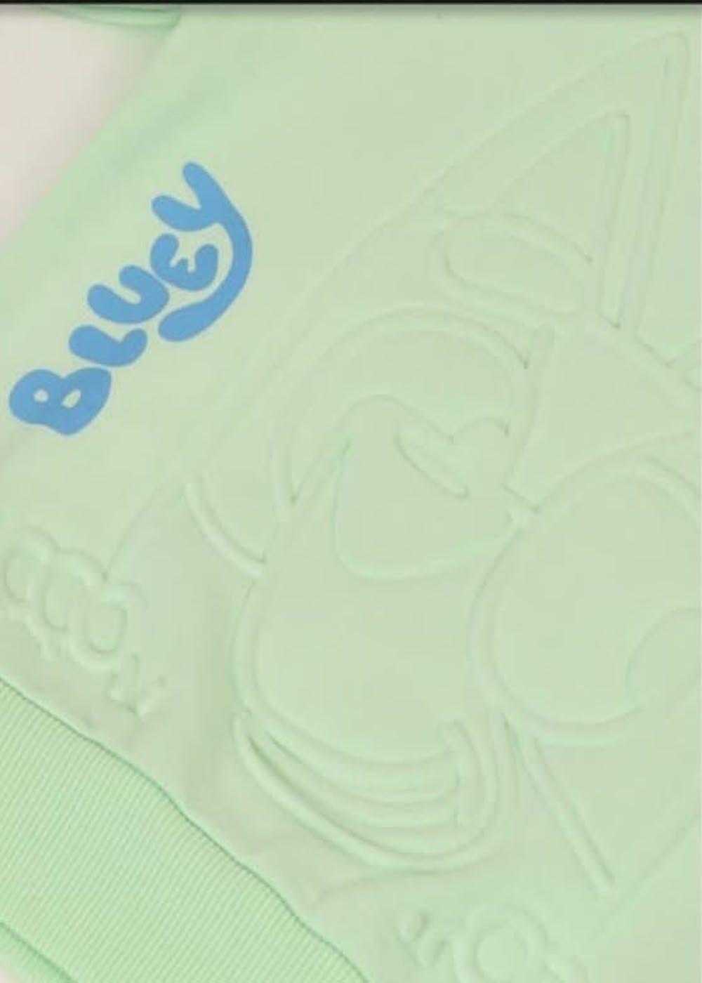 Poleron Bluey Talla 3 color verde claro-2