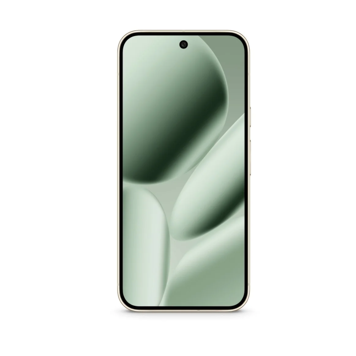 Google Pixel 10 Pro XL 256 GB Jade Reacondicionado-0