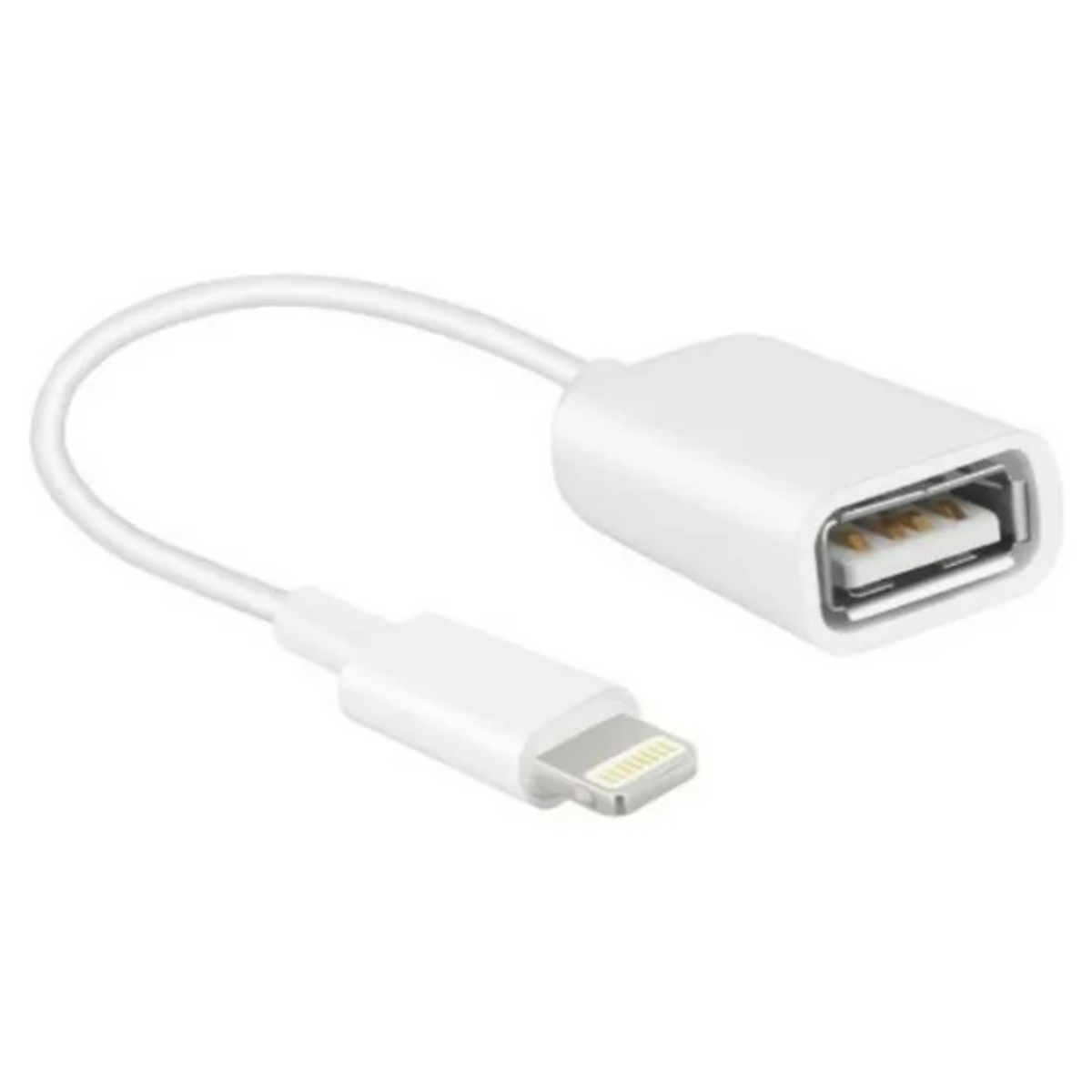 APPLE ADAPTADOR LIGHTNING A MICRO USB MD820AM/A OPENBOX-0