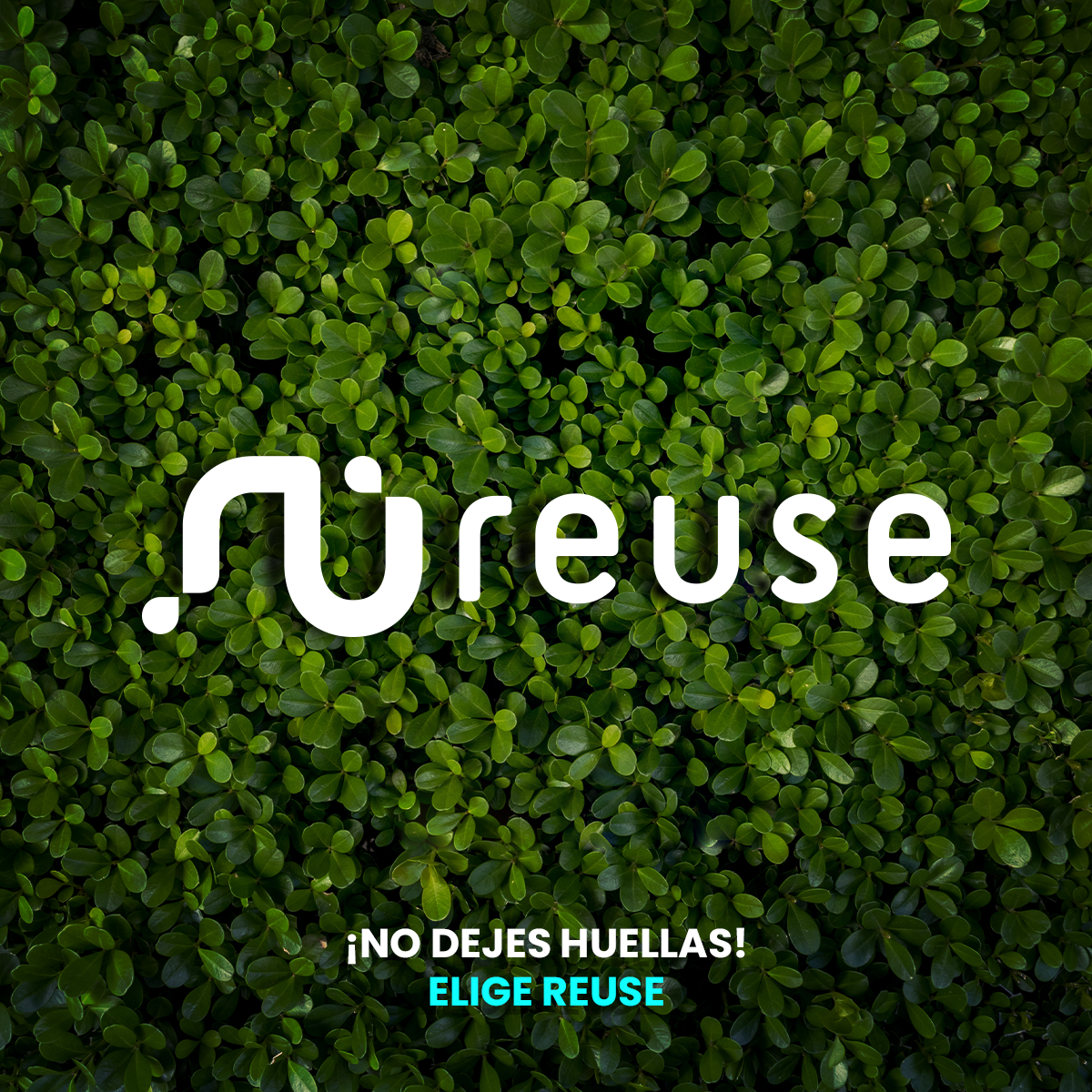 HP Pavilion Aero Laptop 13-be0075cl AMD Ryzen 7 5800U 512SSD 16 GB Reacondicionado-6