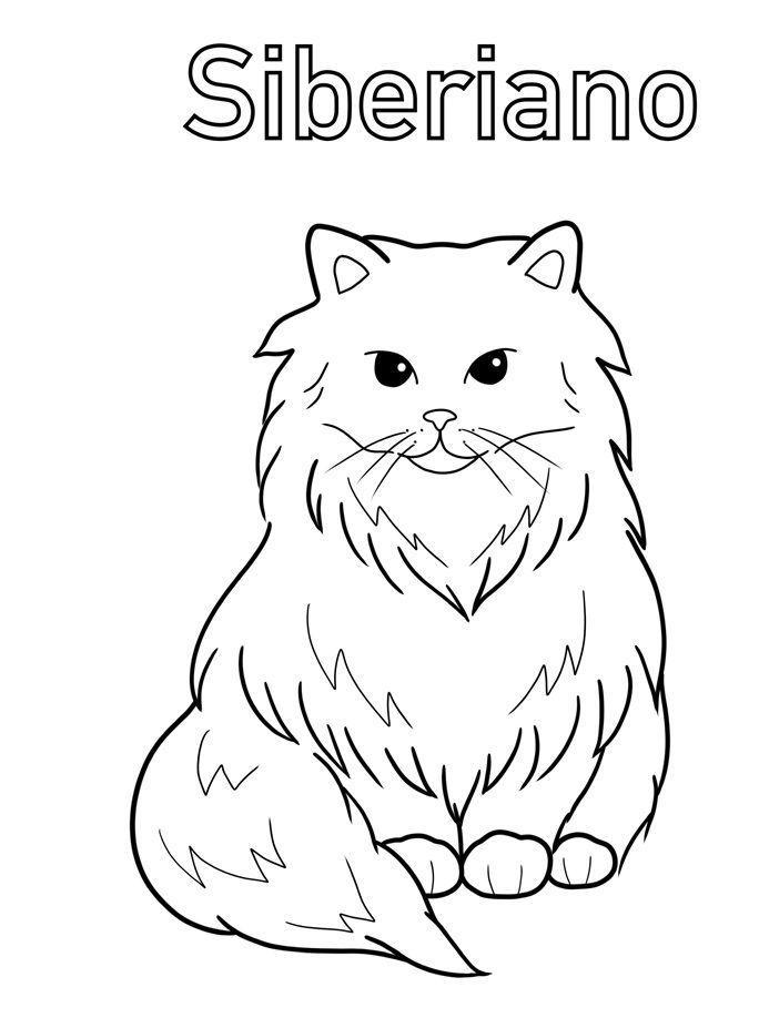 Gatitos para Colorear y mas actividades-2