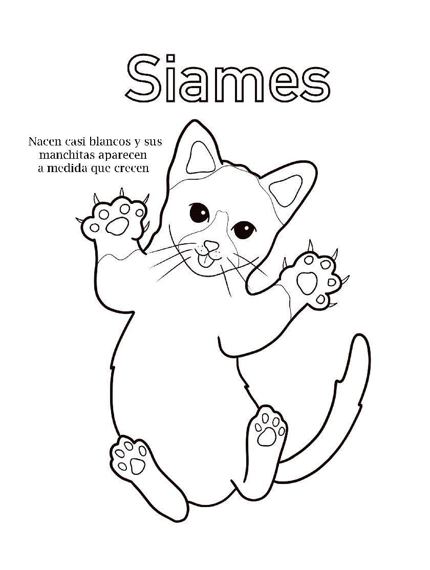 Gatitos para Colorear y mas actividades-3