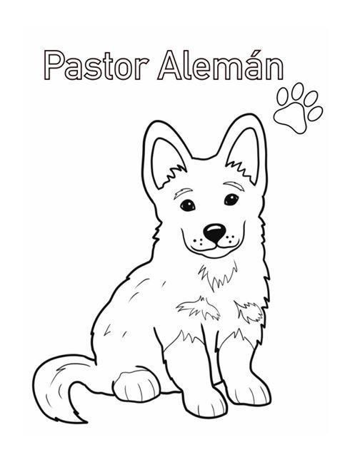 Libro "Cachorritos para Colorear" y mas actividades-2