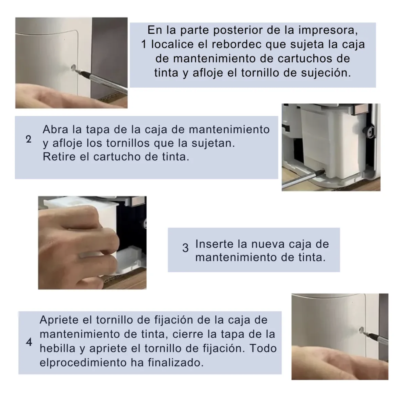 Almohadillas Recipiente Compatibles Con L3250 L3210 L3150-5