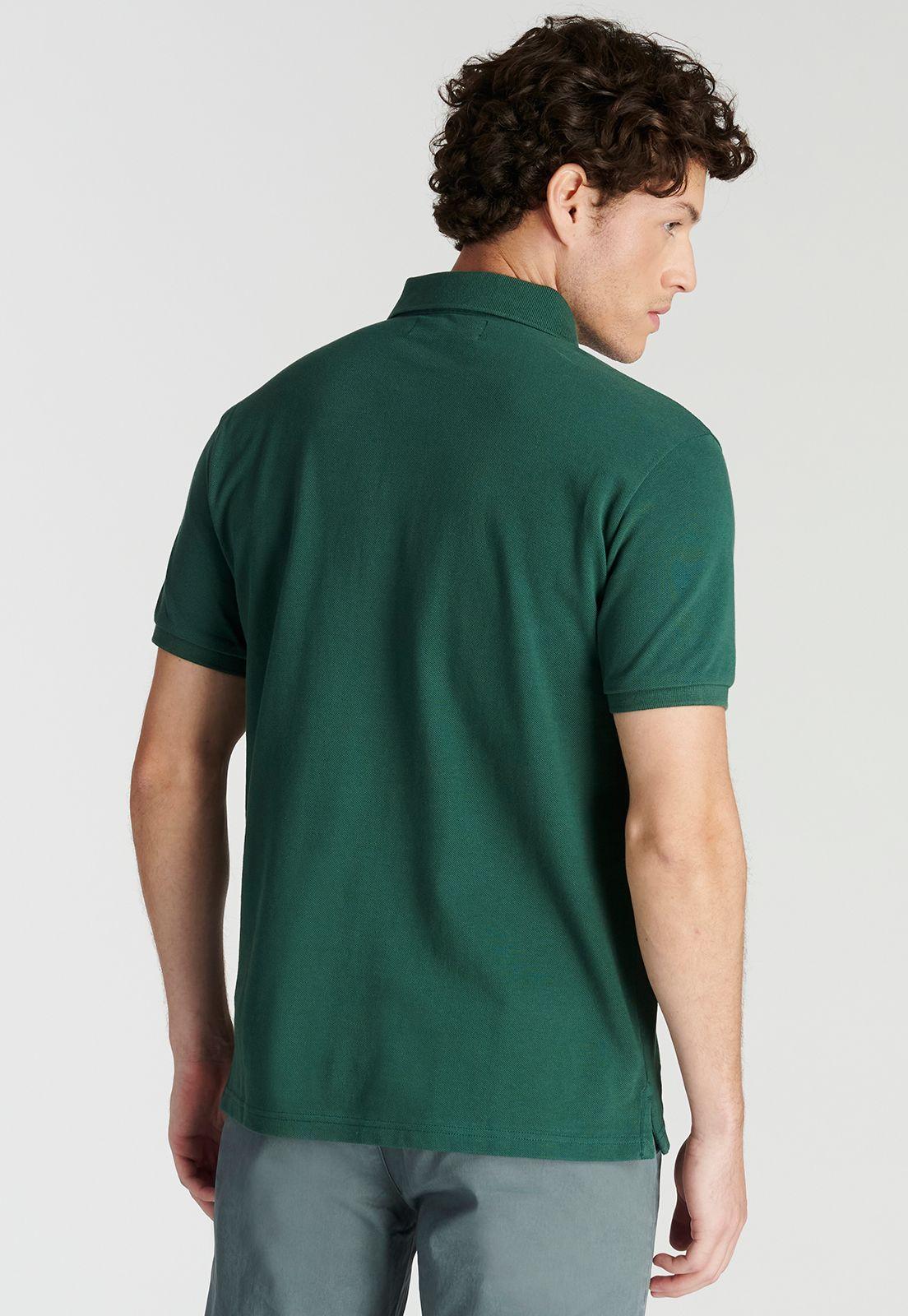 Polera Polo Roma Heritage Pine-3