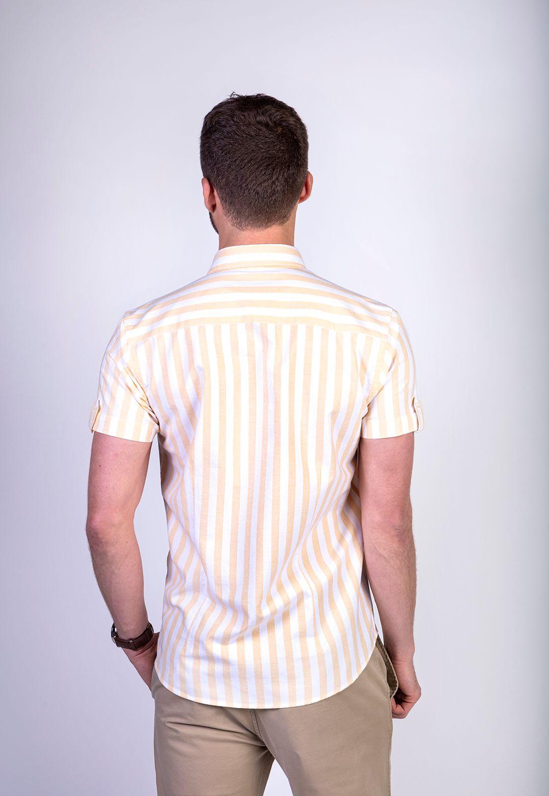 CAMISA LOTHIAN PINE-1