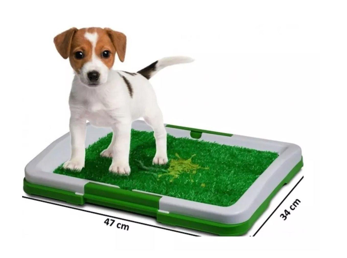Baño Ecológico Perro Baño Mascotas Baño Ecológico 47x34cm-3