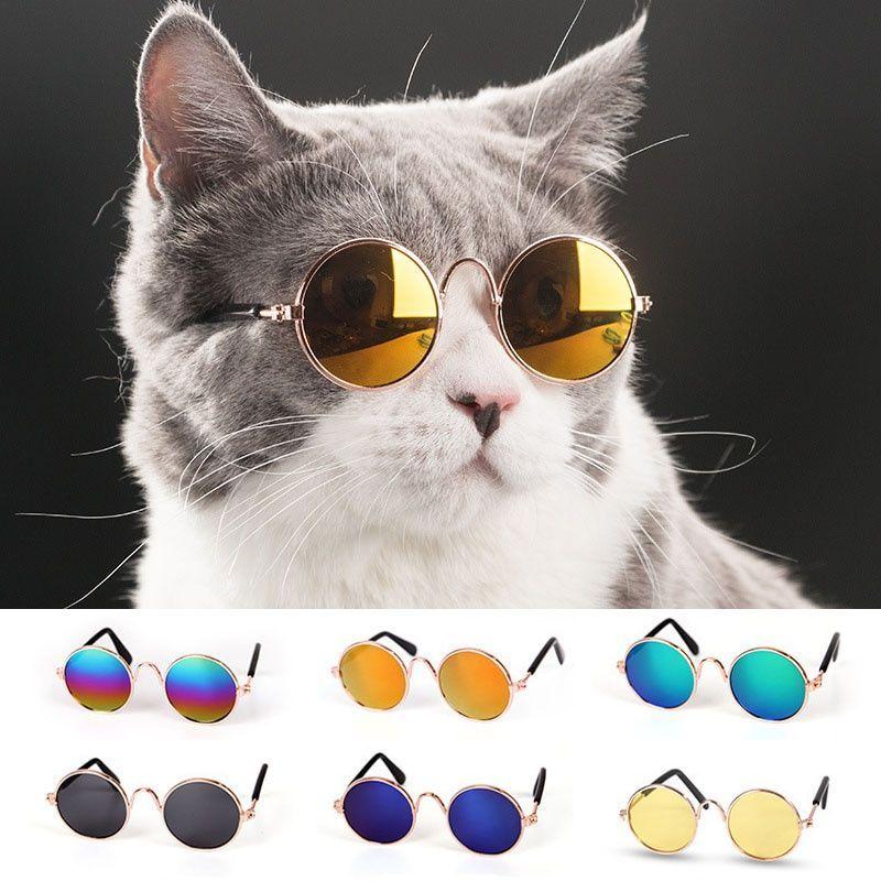 LENTES DE SOL, GAFAS DE SOL PARA PERROS Y GATOS, COLORES AL AZAR -2