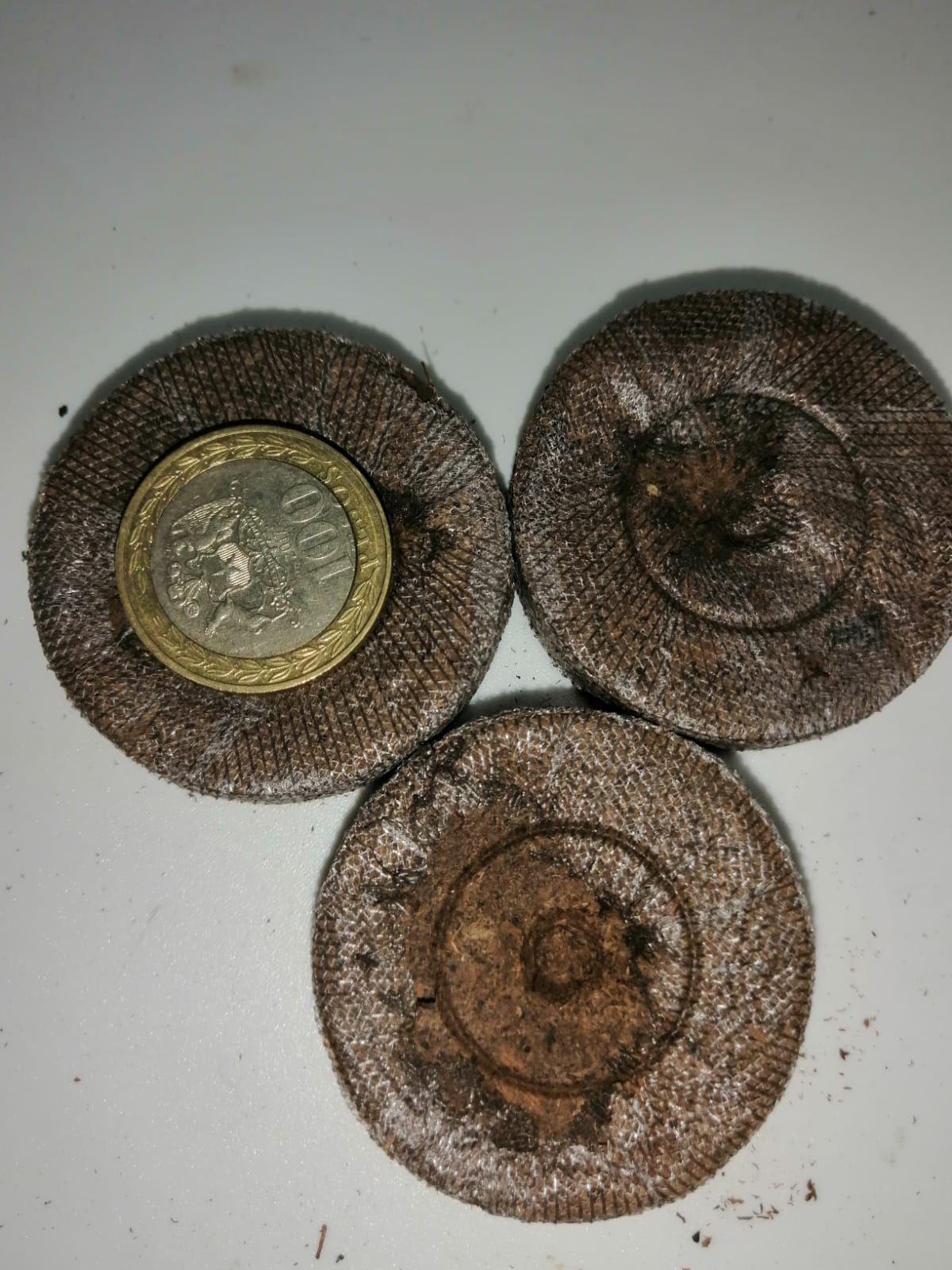  Jiffys de Turba-3