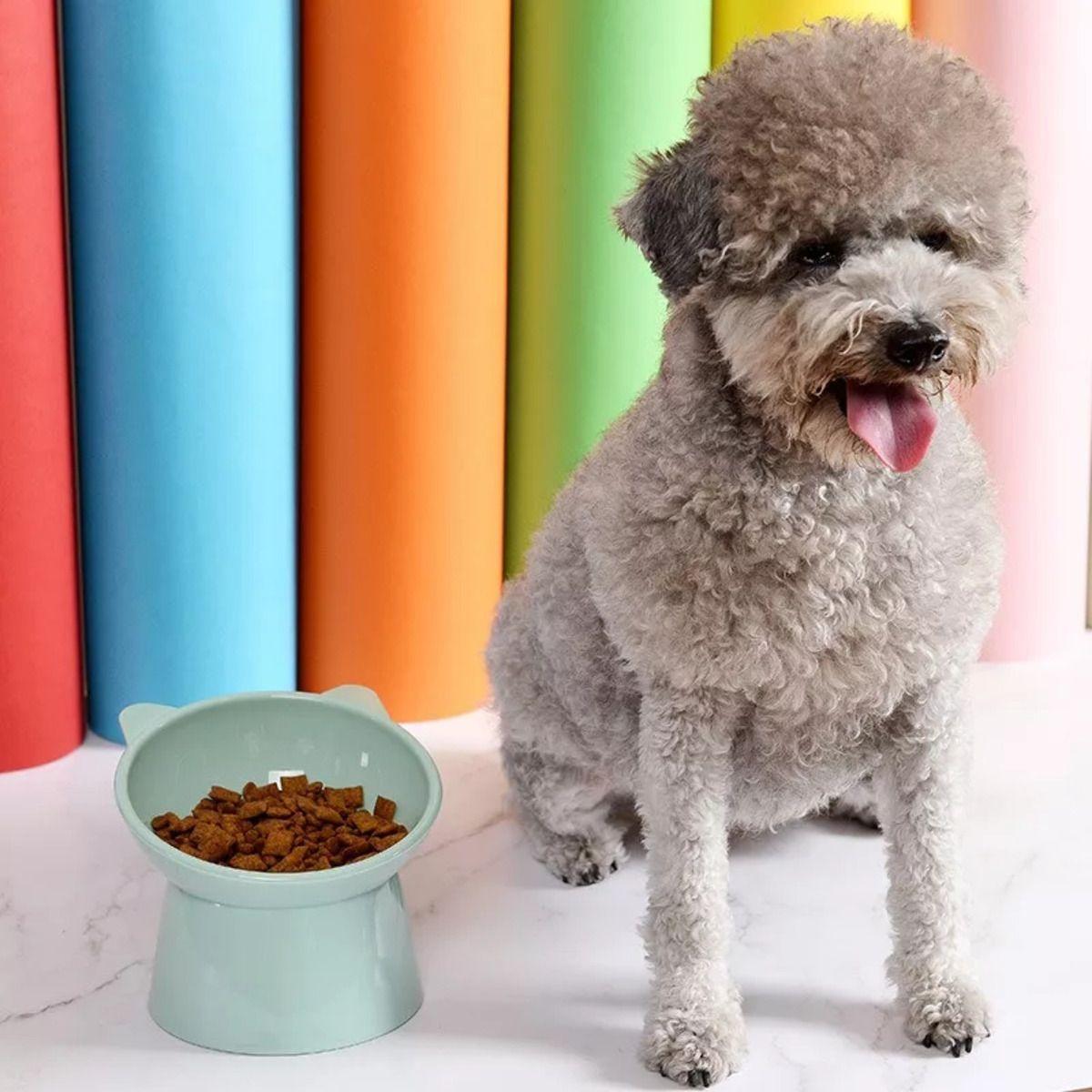 Cuenco Para Mascotas Inclinado Elevado Para Gatos Perros Norplat-3