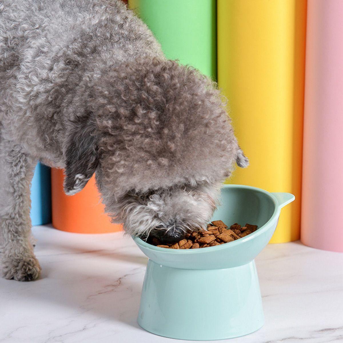 Plato Comedero Elevado Inclinado Para Gatos Y Perros Norplat-4