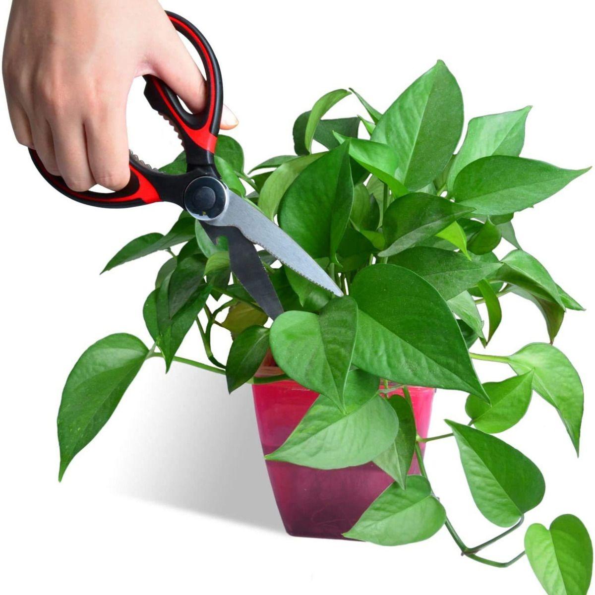Tijera De Cocina Multiuso Con Protector - Norplat-2