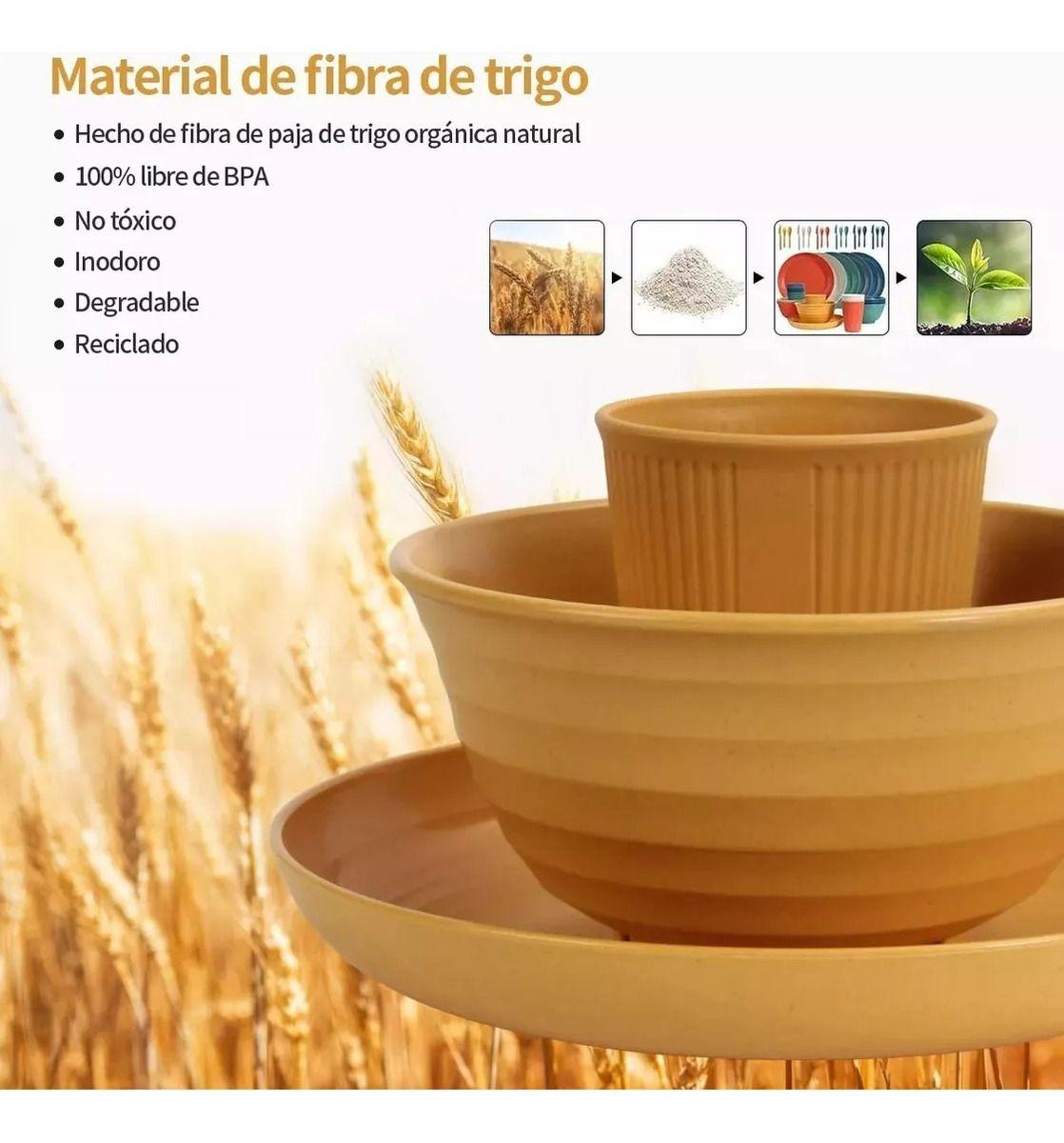 Juego Vajilla 36 Platos Plásticos Reutilizable Color Norplat-3