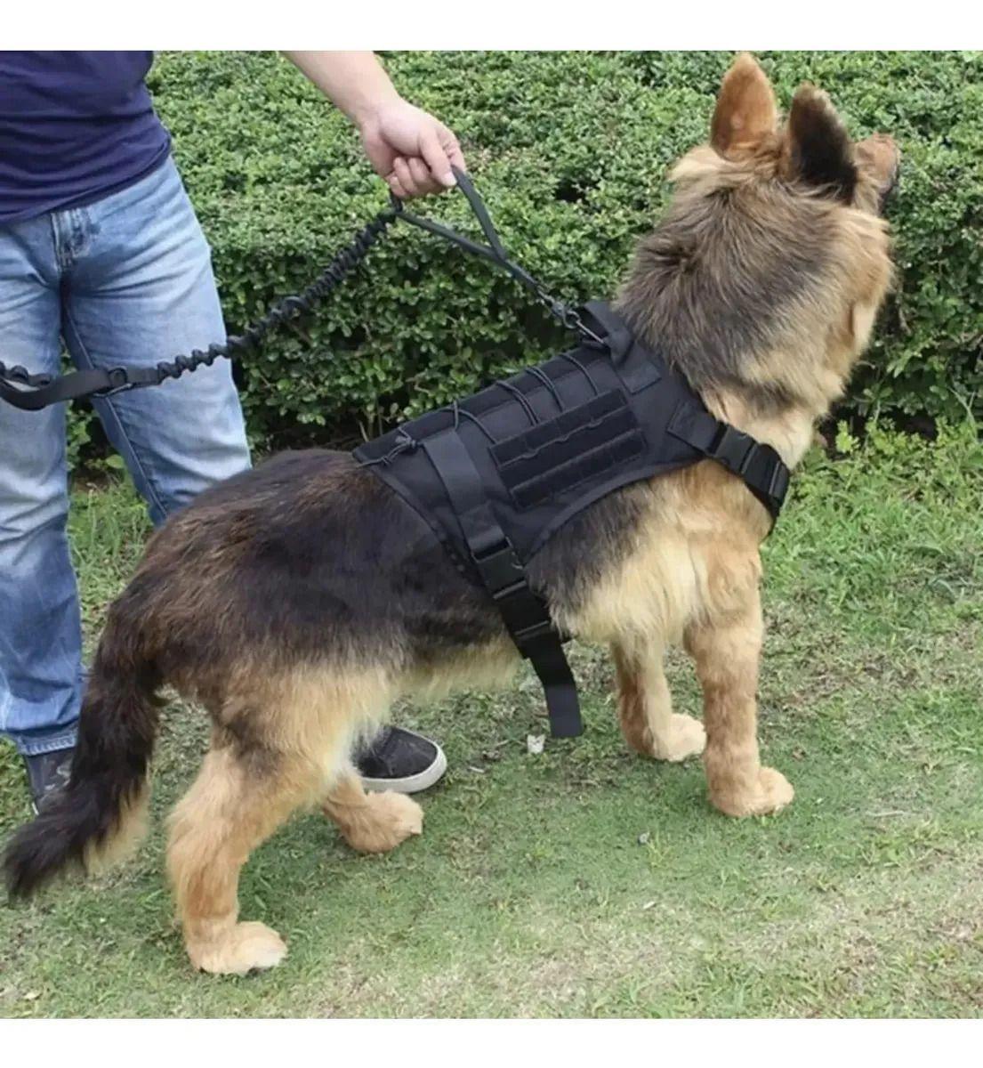 Arnés Táctico Ajustable Lanzamiento Perros Grandes Norplat-2