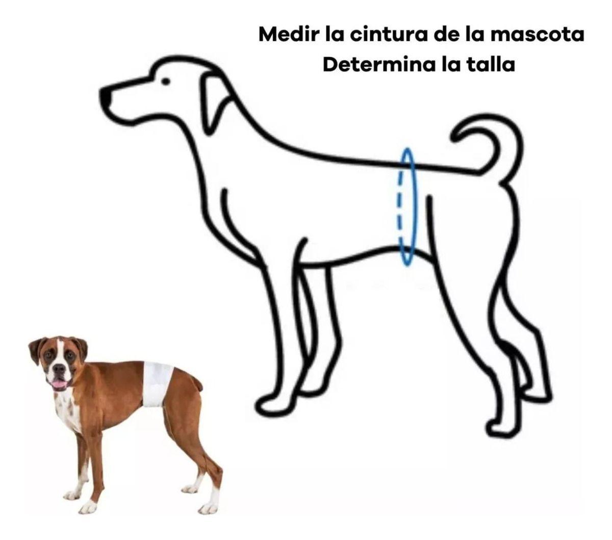 Pack 12 Unid Pañal Sanitario Desechables Mascotas Perra Gata - Norplat-2
