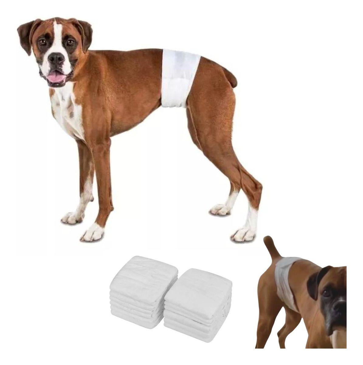 Pack 12 Unid Pañal Sanitario Desechables Mascotas Perra Gata - Norplat-0