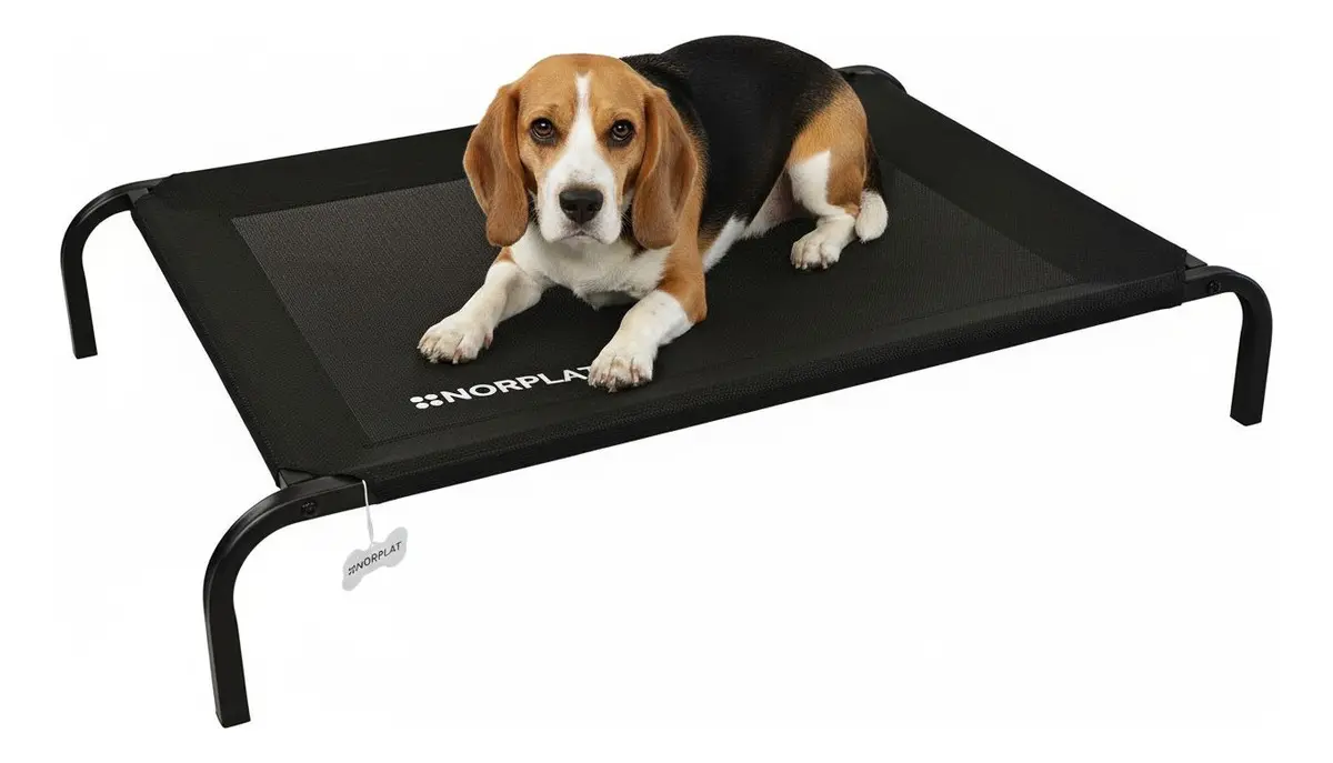 Cama Elevada Altura Para Mascota Perro Gato Talla M Norplat Negro Elevado-0