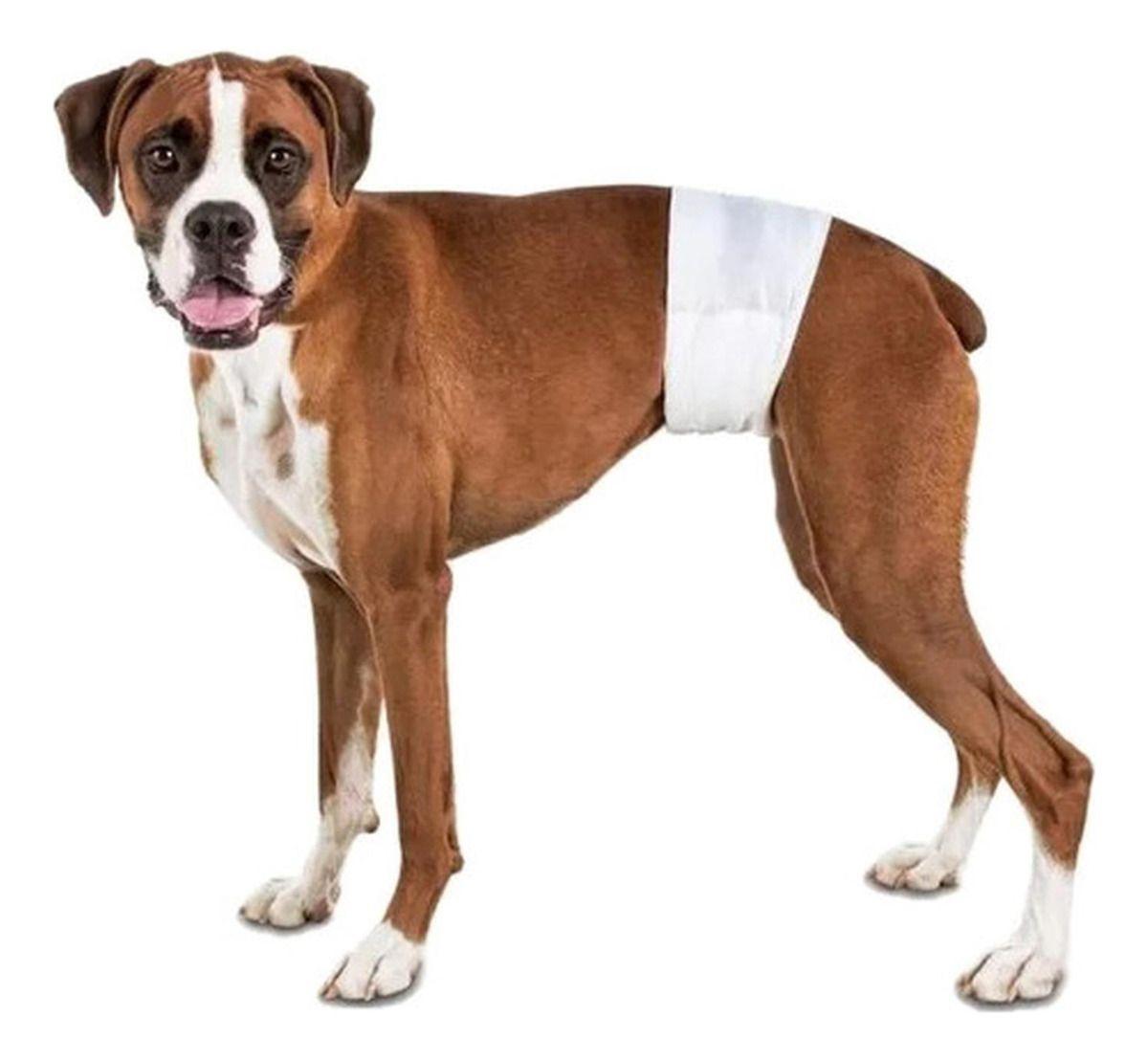 24 Pañales Perros Macho Pañal Para Gato - Norplat-0