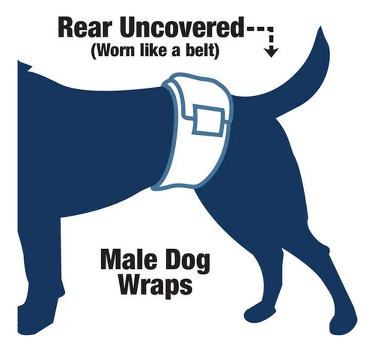 Pañales Desechables Para Perro Macho Tipo Banda Norplat-6