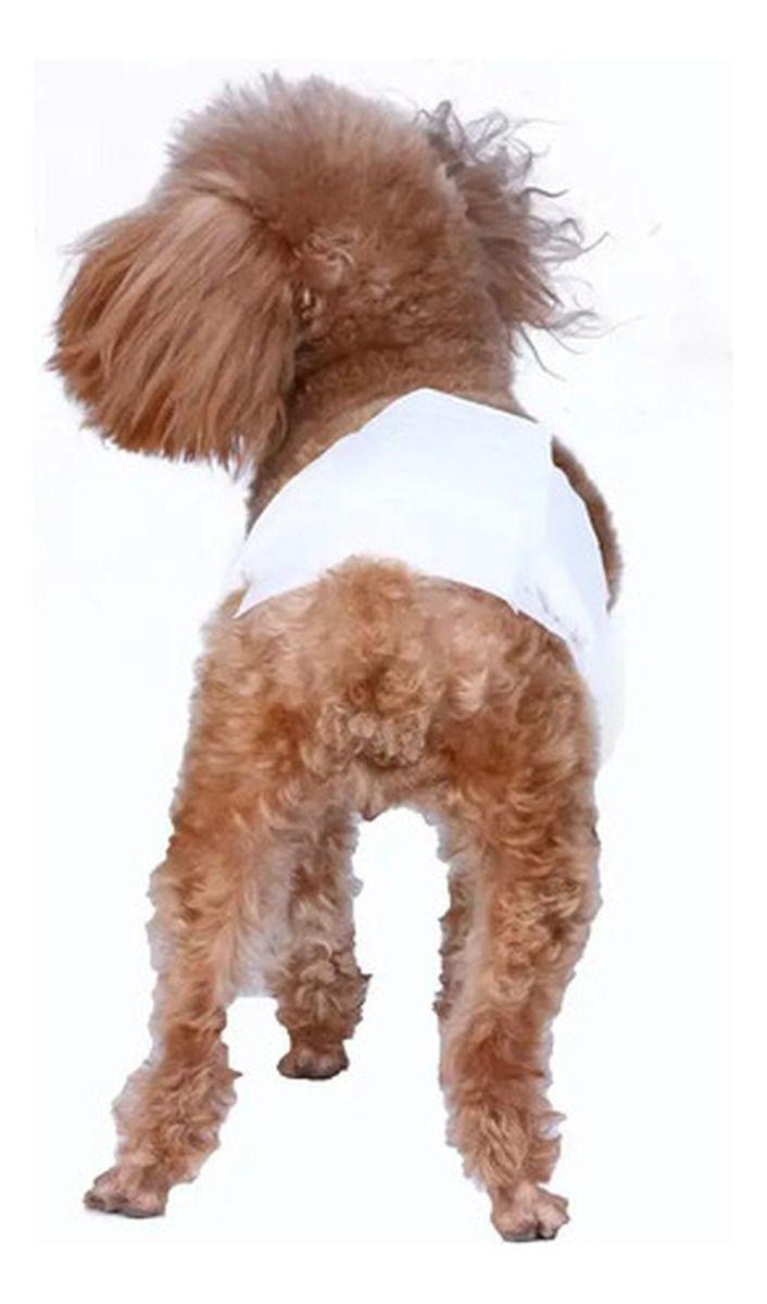 Pañales Desechables Para Perro Macho Tipo Banda Norplat-7