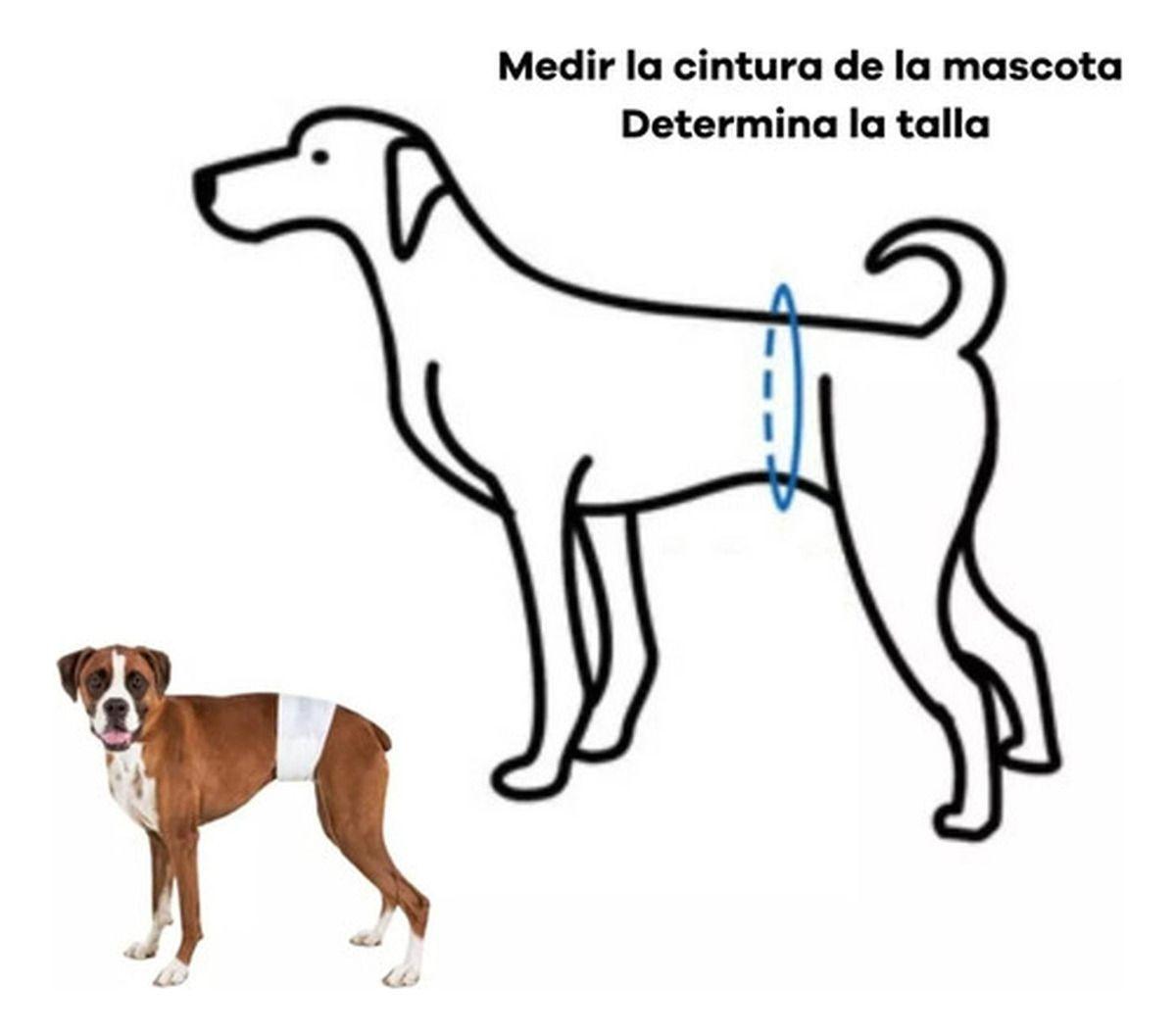 Pañales Desechables Para Perro Macho Tipo Banda Norplat-9