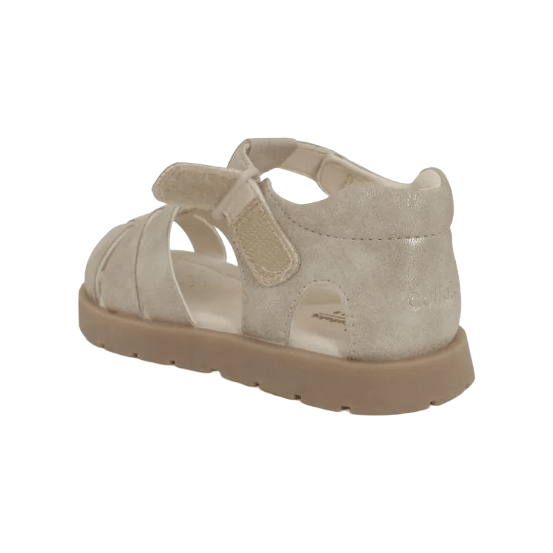 SANDALIAS COLLOKY CANGREJERA DORADO BEBÉS | 430402-3