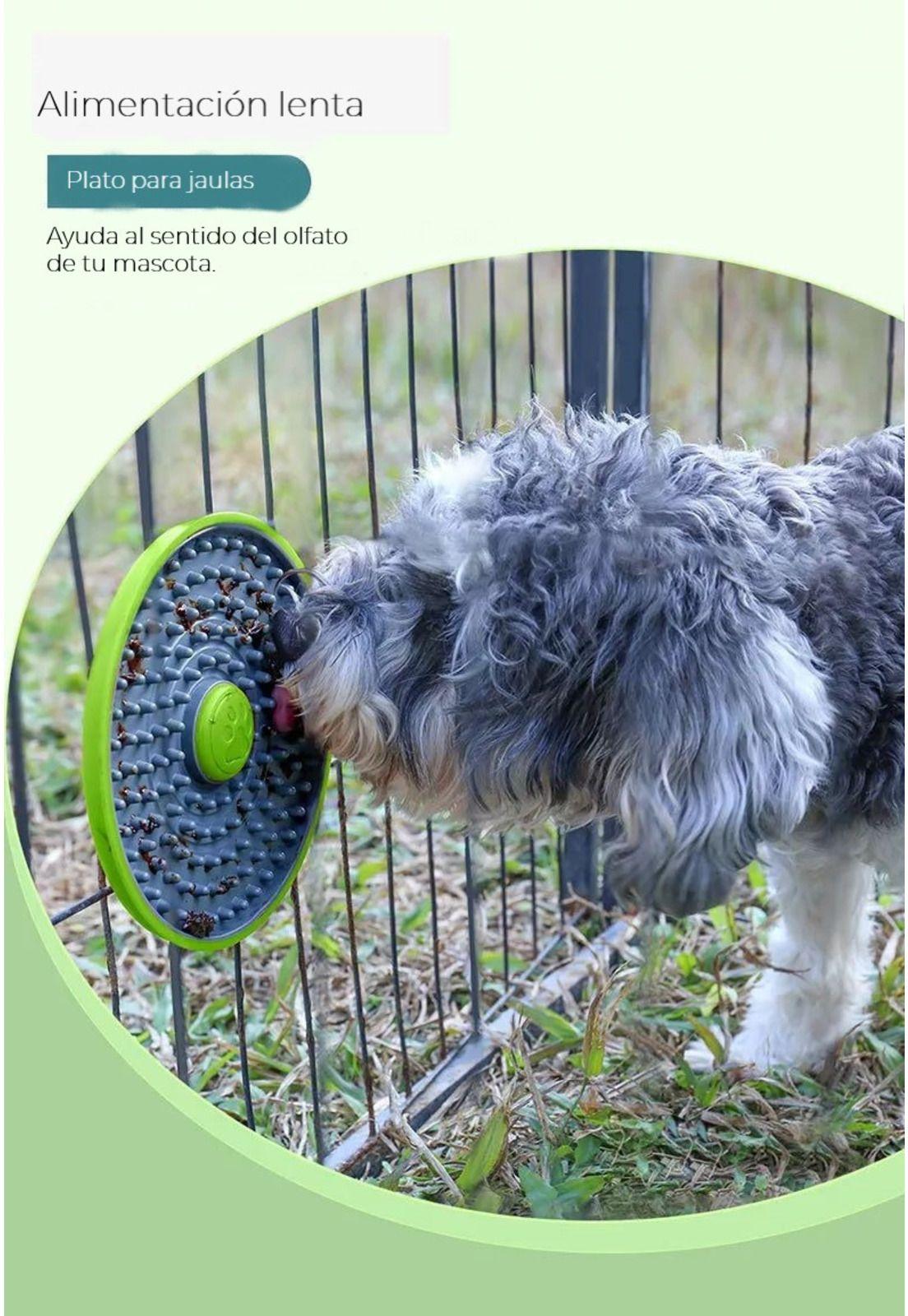 lickmat para perros-3