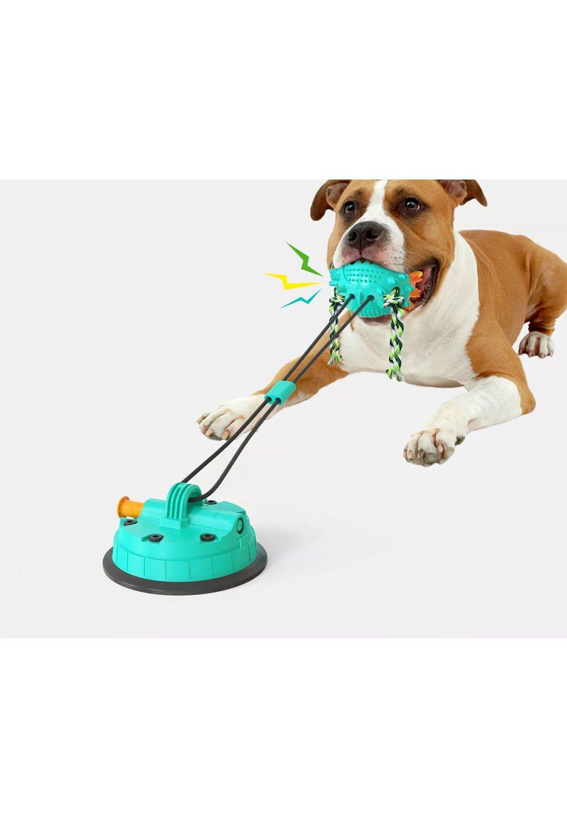Juguete con anclaje para perros-3