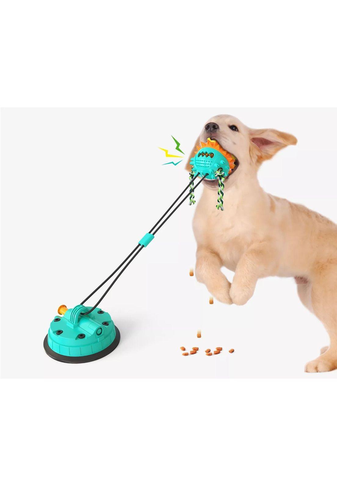 Juguete con anclaje para perros-4