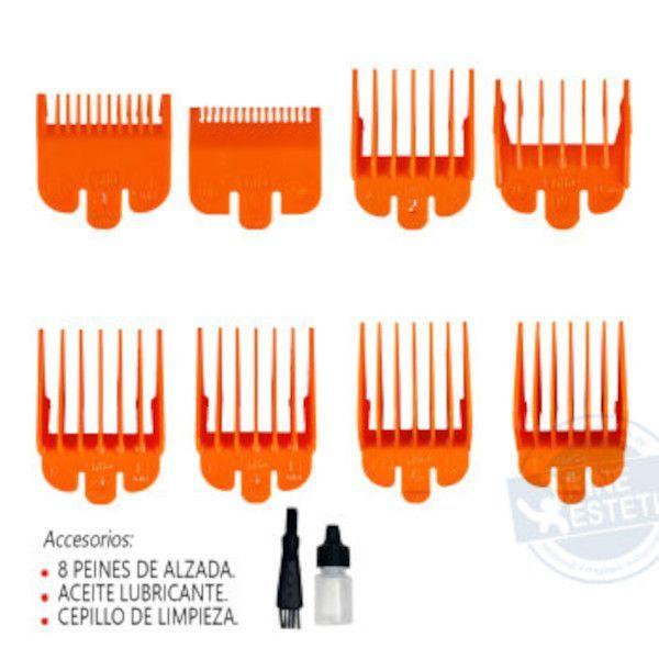 CLIPPER GBS ABSOLUTE STAGE GA.MA-3