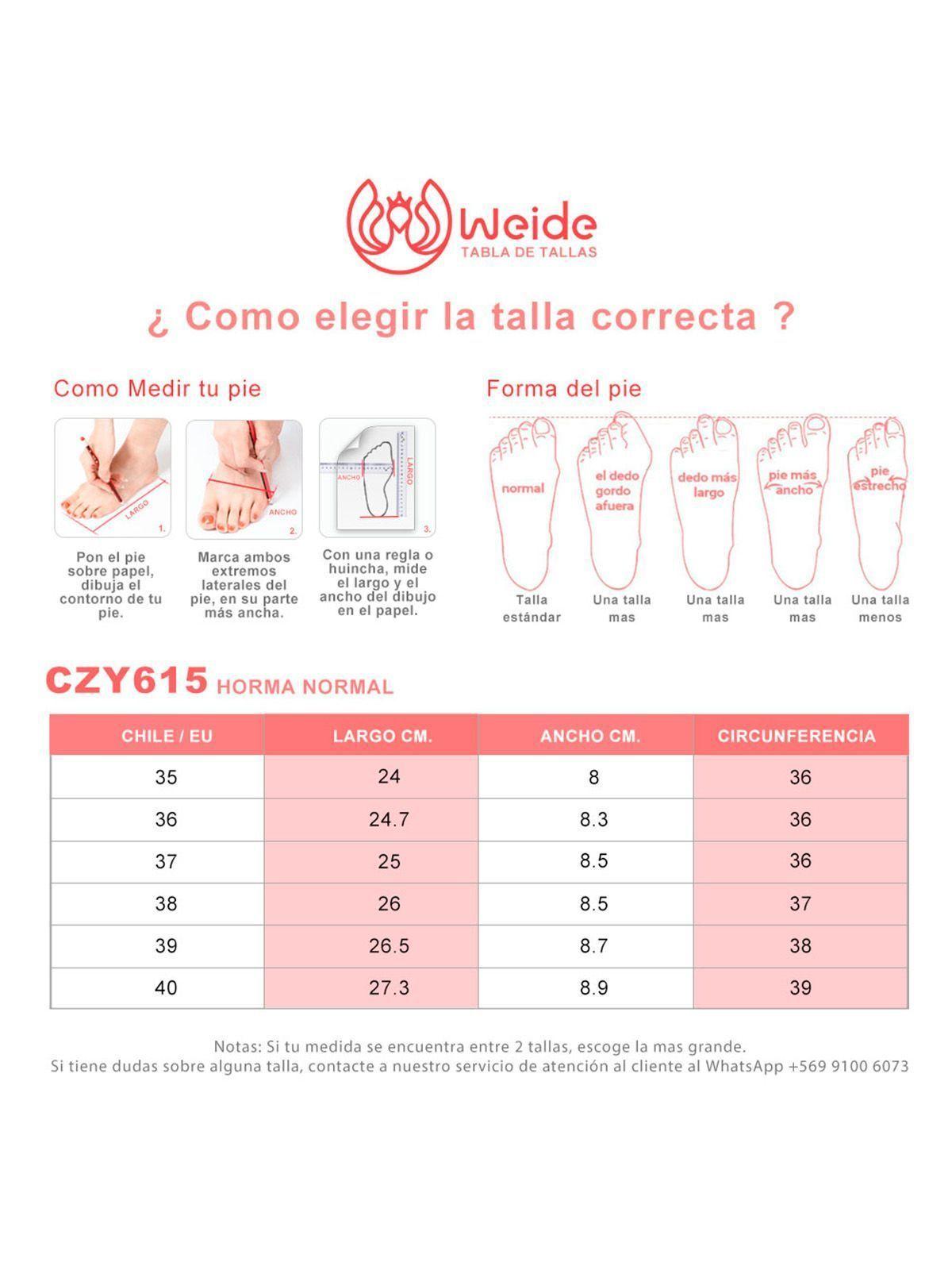 Botas Largas Mujer De Moda Comodo Tacon Grueso Weide CZY615-3