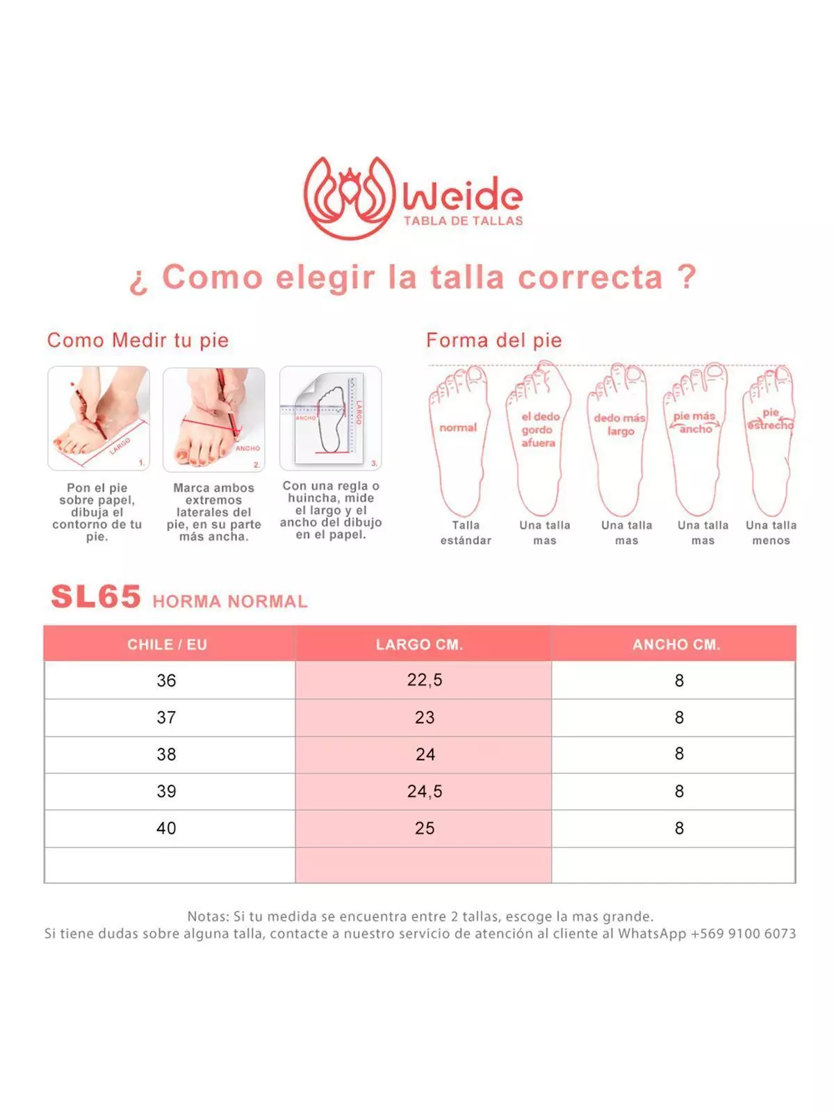 Zapatilla Casual Urbana Plataforma Mujer Weide SL65-3
