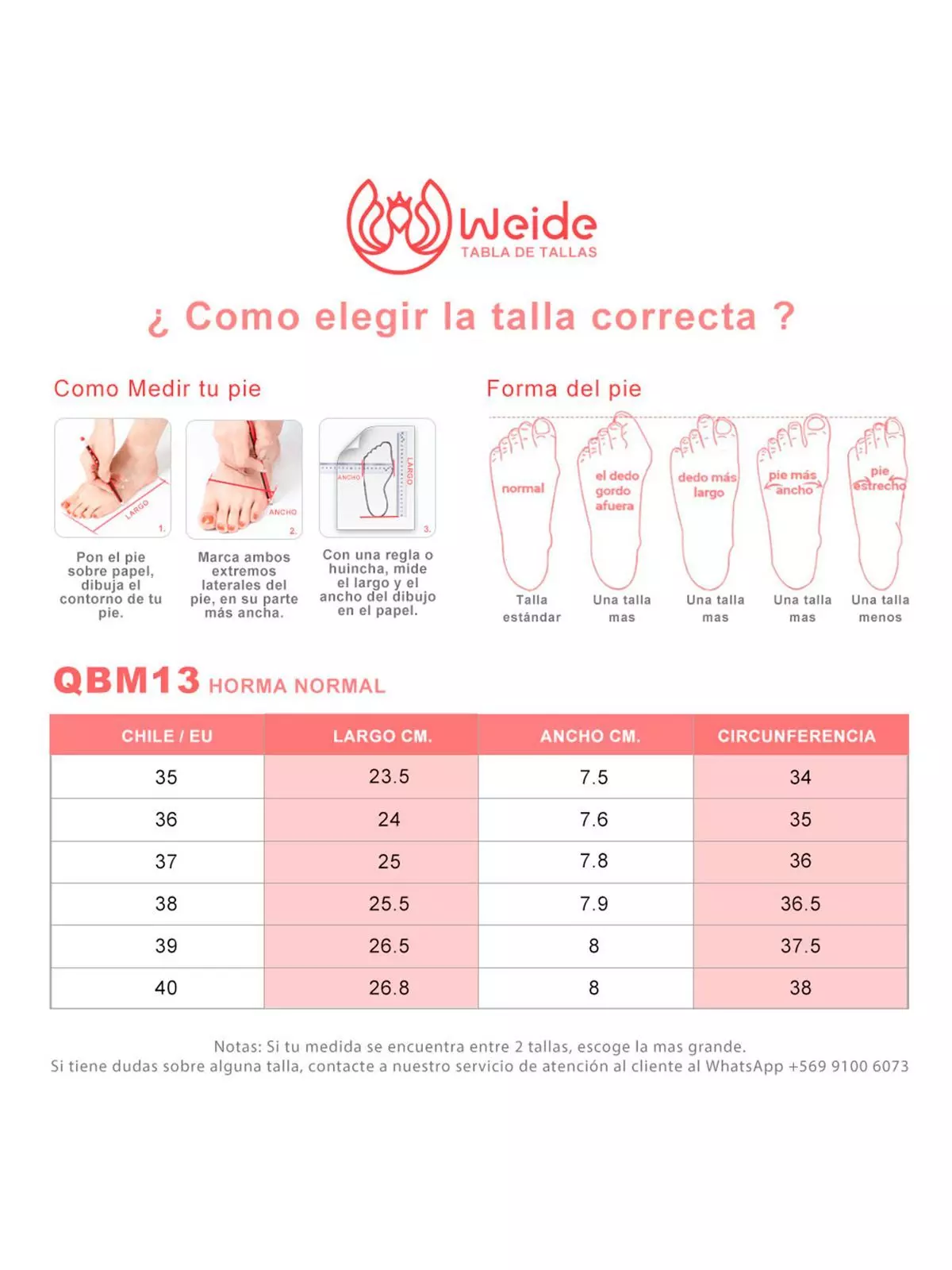 Bota Casual Mujer Vintage Moda Eco Cuero Comodo Weide QBM13-3