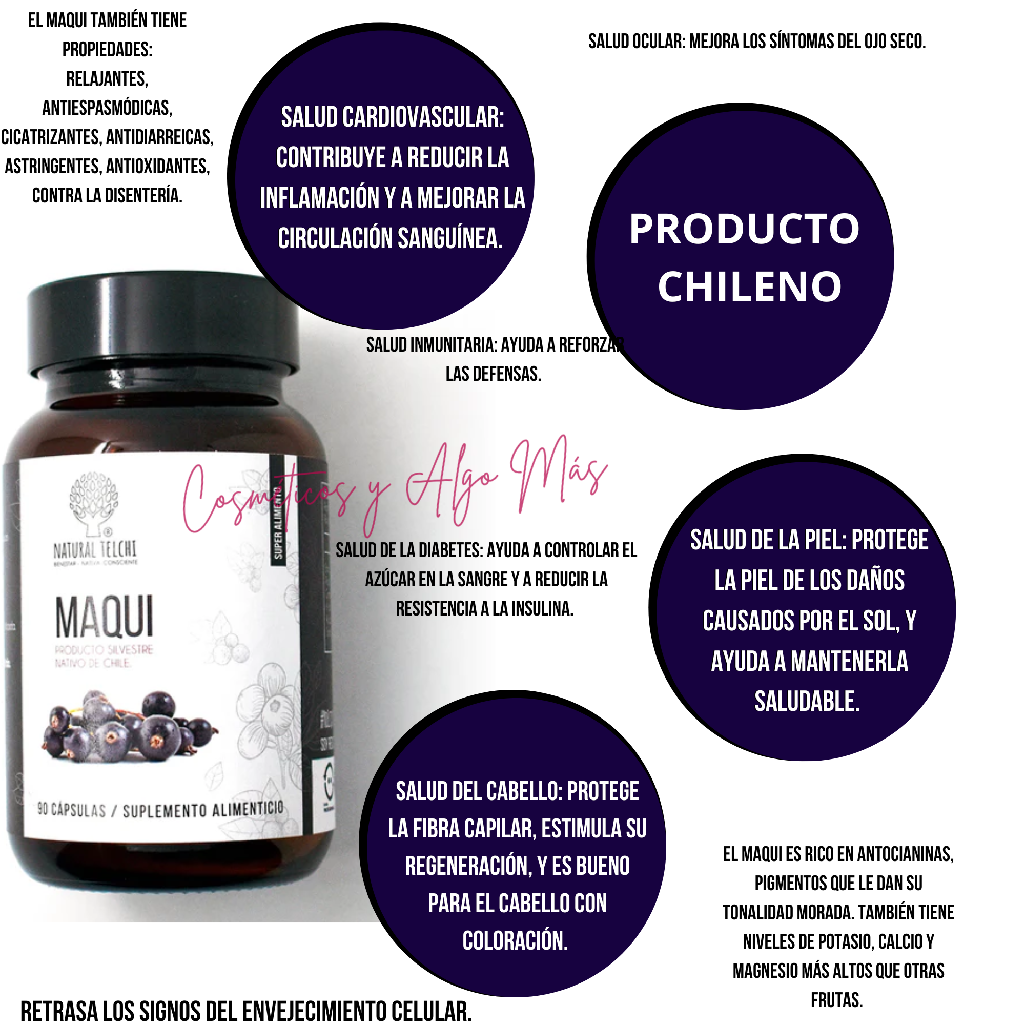 Suplemento antioxidante y antienvejecimiento MAQUI 90 capsulas 500mg-1