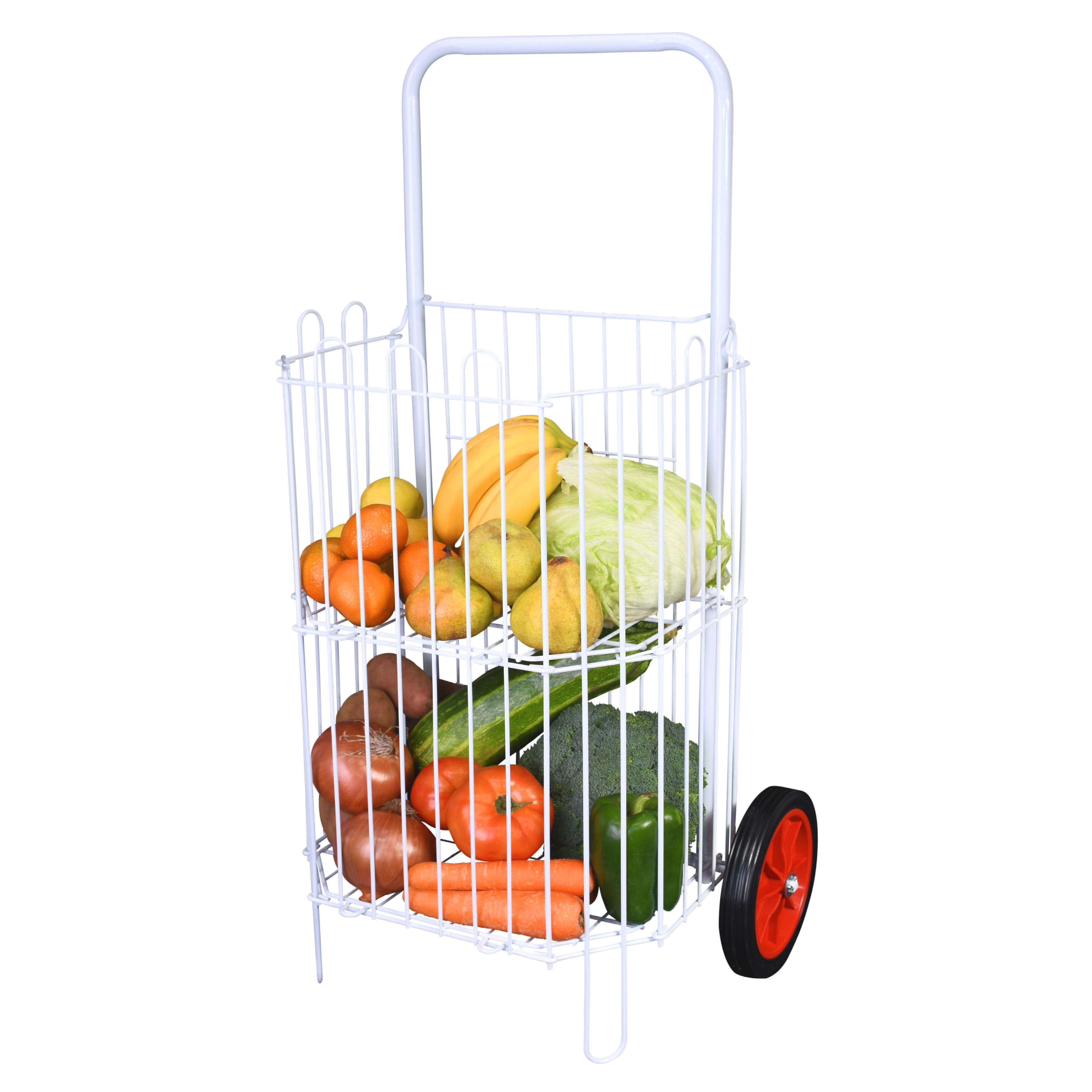 Carrito De Feria 2 Niveles Plegable 20kg-1