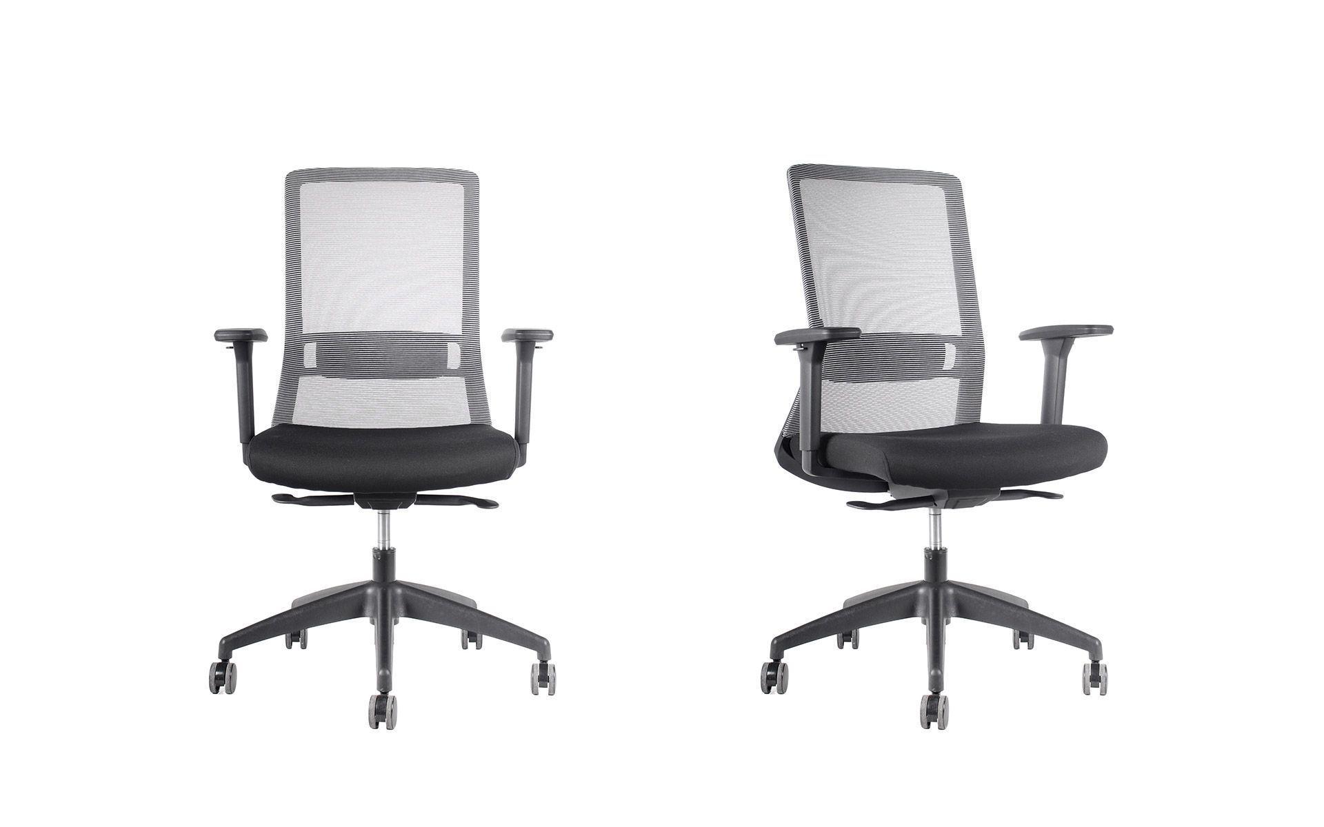 Silla profesional Ranco-2