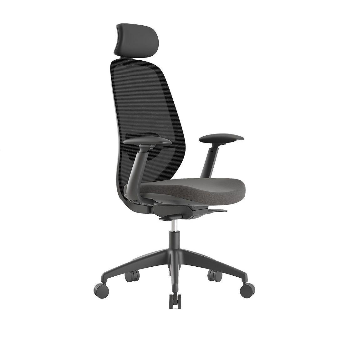 Silla Profesional Budi con cabecero-0