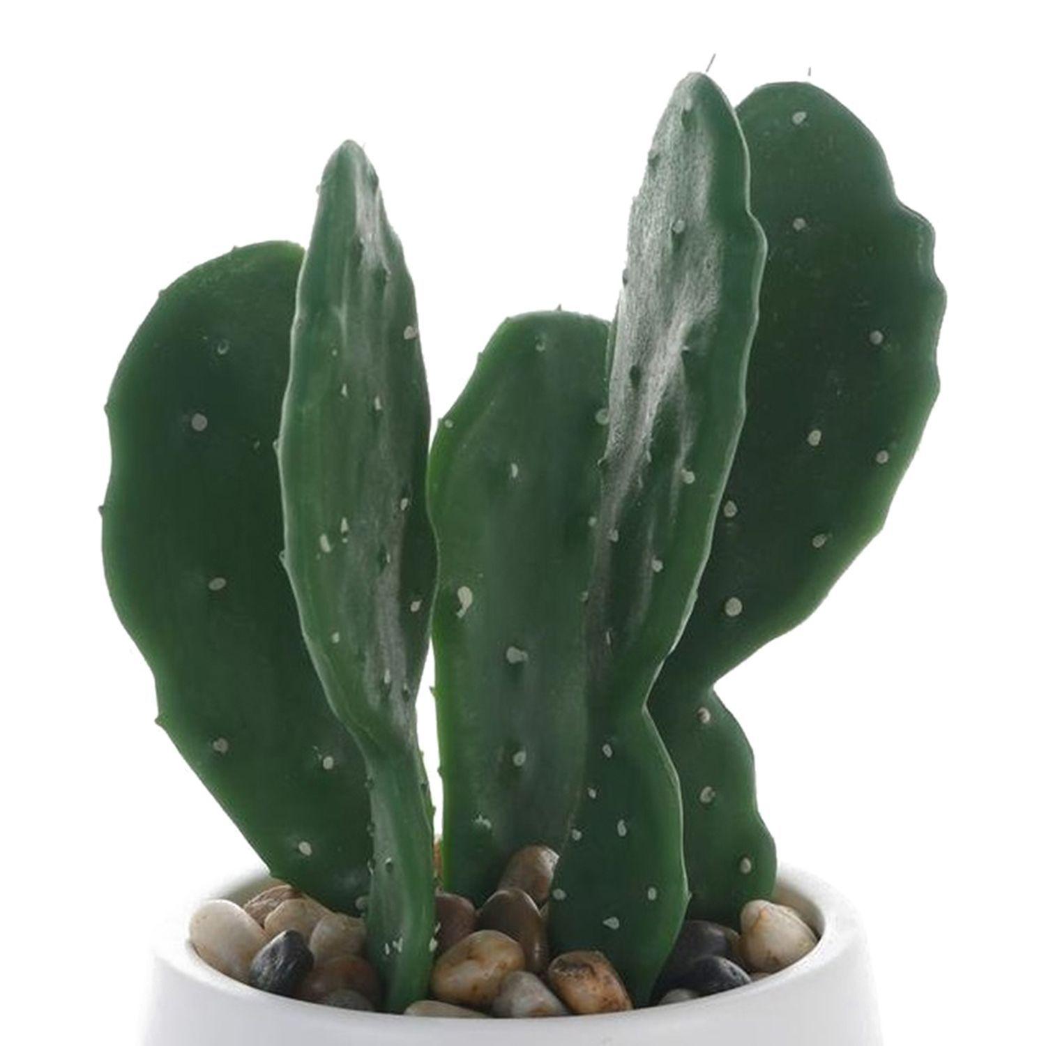 Planta Decorativa Cactus Mouse 25 Cms Maceta Blanc-2
