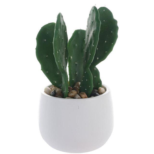 Planta Decorativa Cactus Mouse 25 Cms Maceta Blanc-0