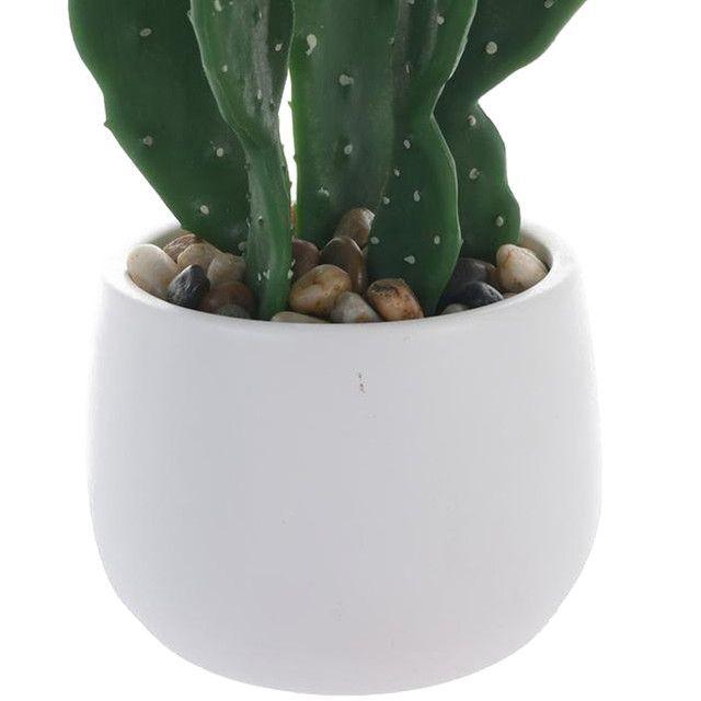 Planta Decorativa Cactus Mouse 25 Cms Maceta Blanc-1