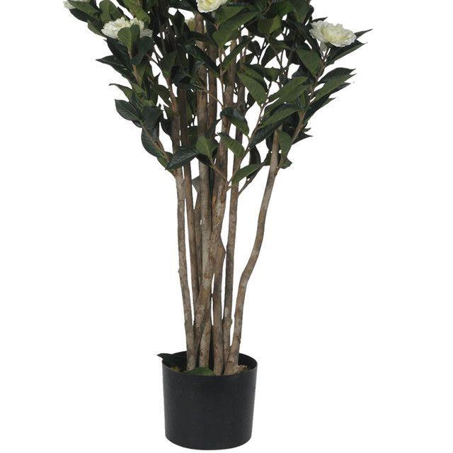 Planta Decorativa Camelia Japonica 120 Cms.-2